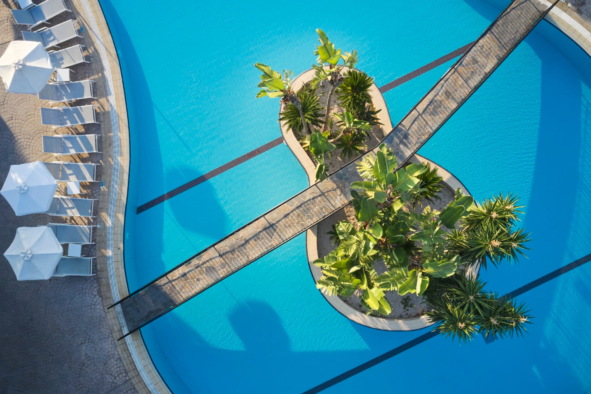 a tree in front of a building