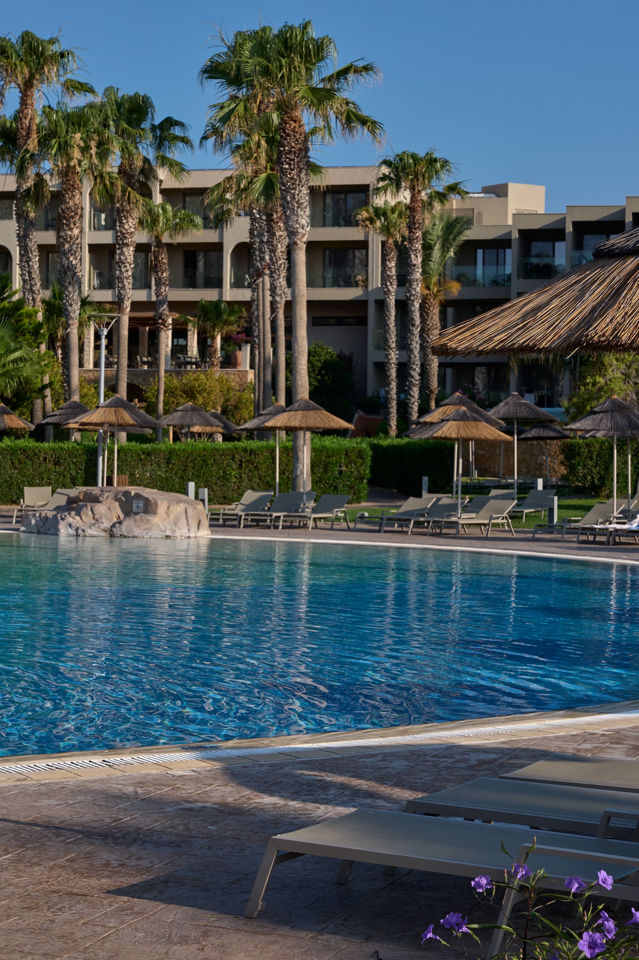 a pool with chairs and umbrellas by a building