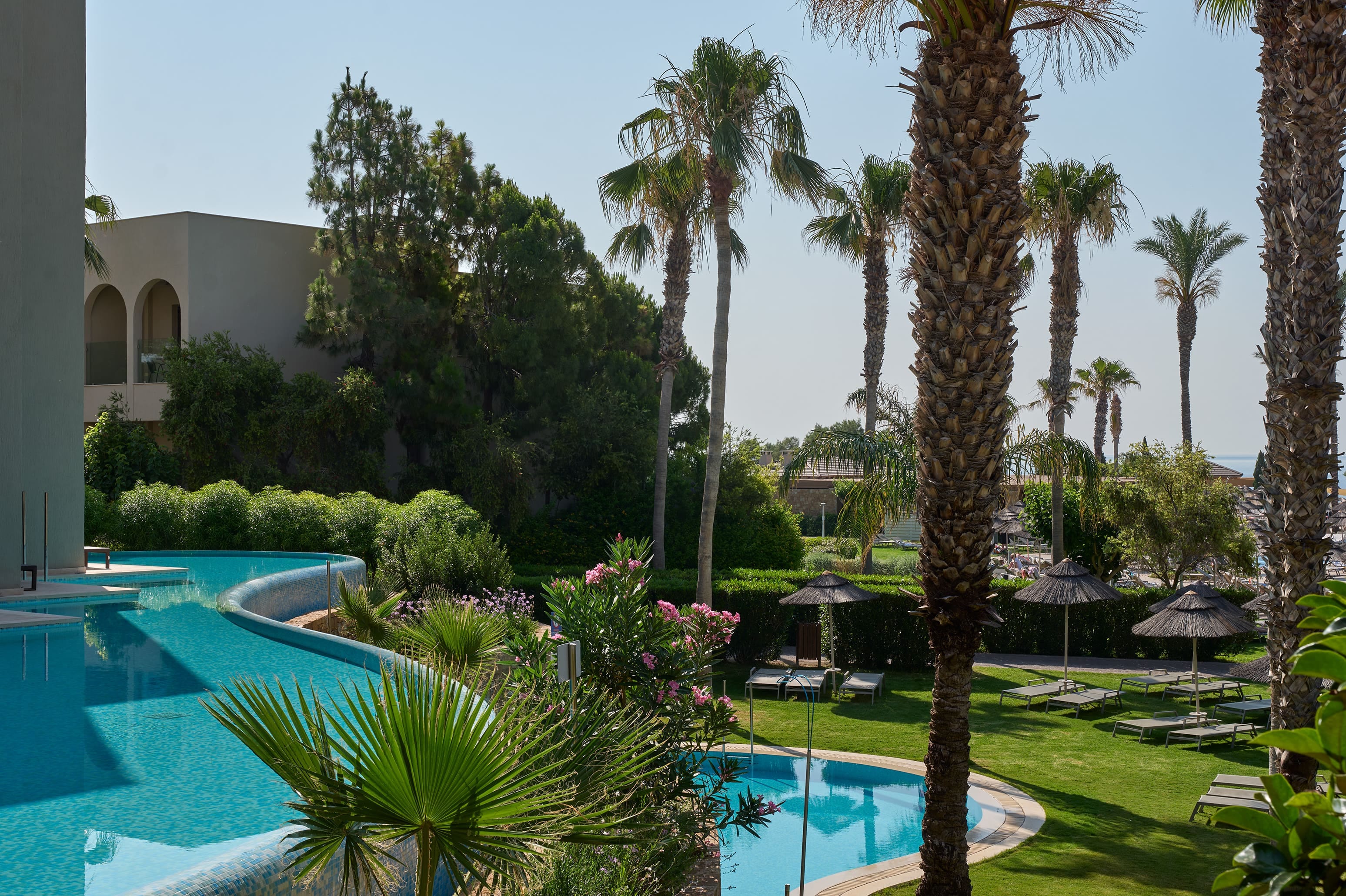 a pool with palm trees and a building in the background