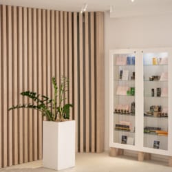 a room with a bookcase and a plant in it