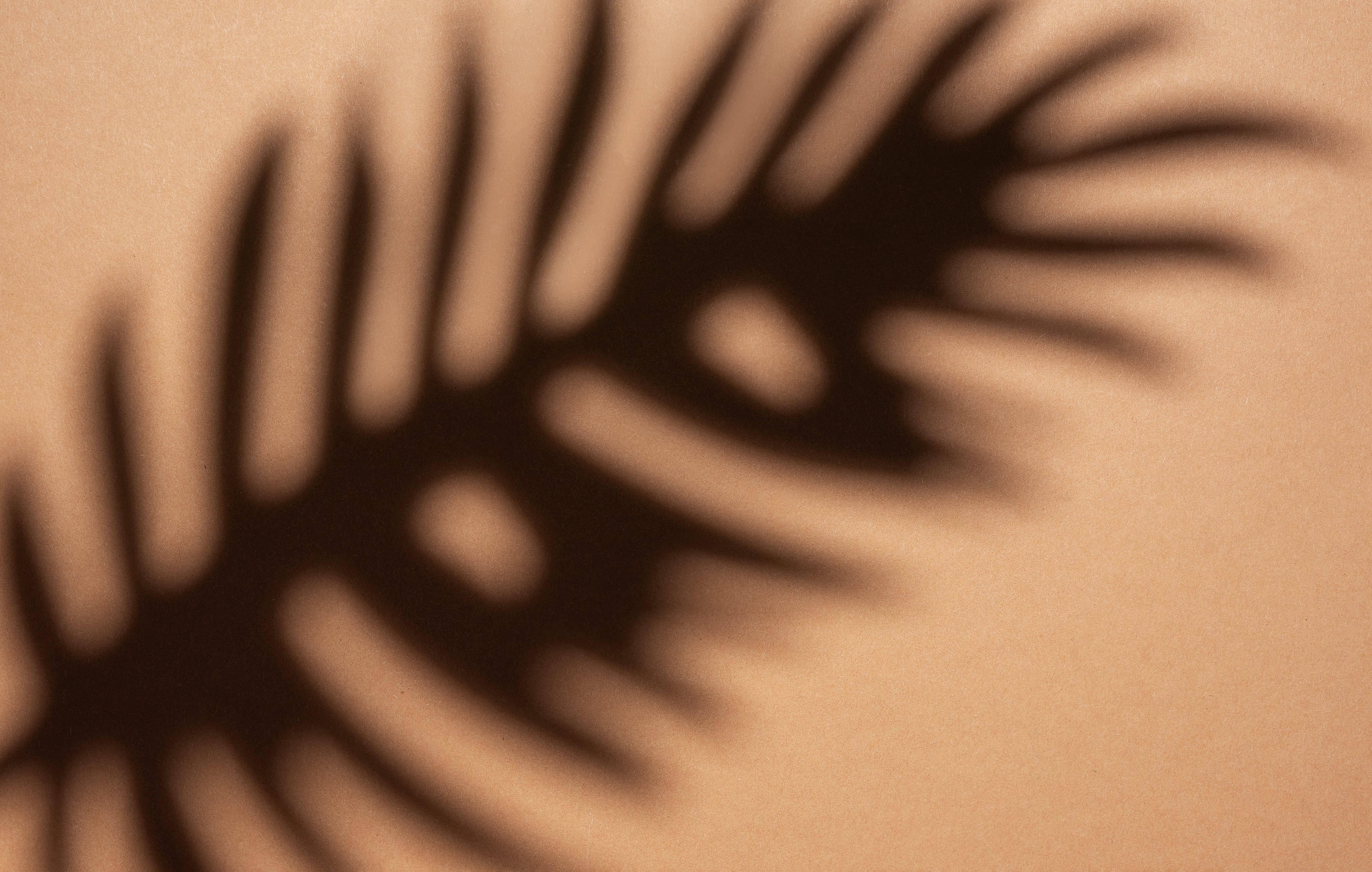 a close up of a person's eye