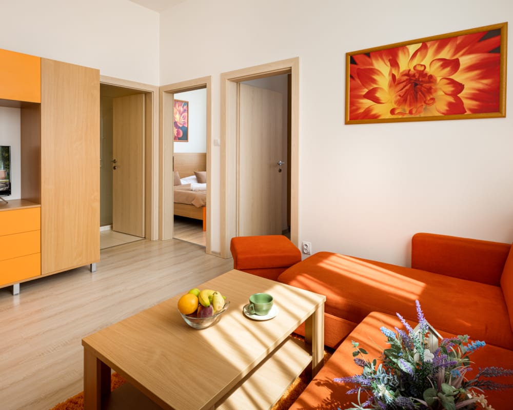 1_borievka-rodinny-apartman-obyvacia-miestnost-1