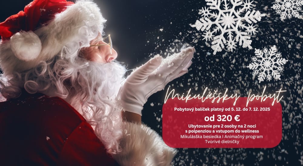 a person in a santa suit
