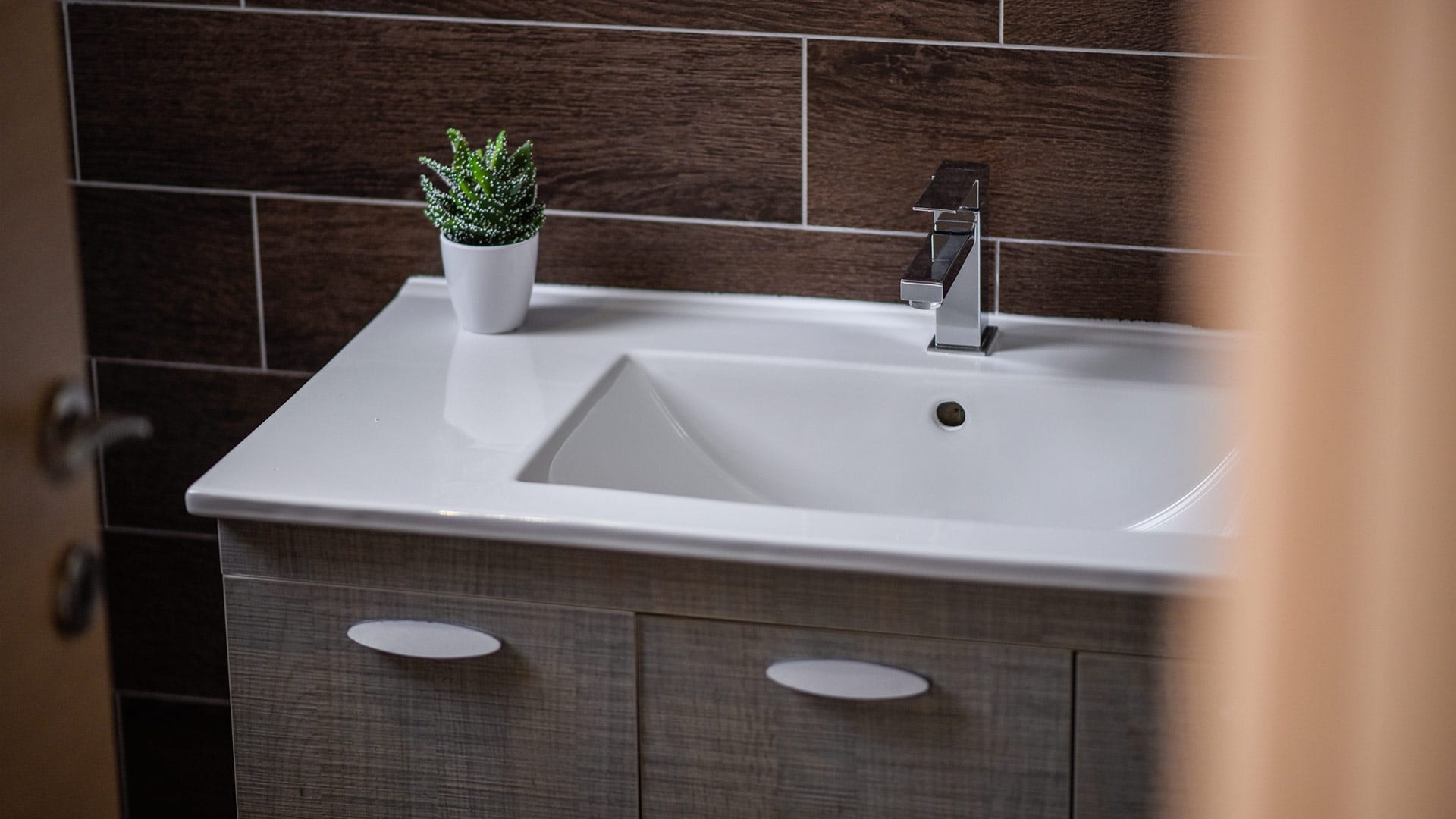 a sink with a plant on it