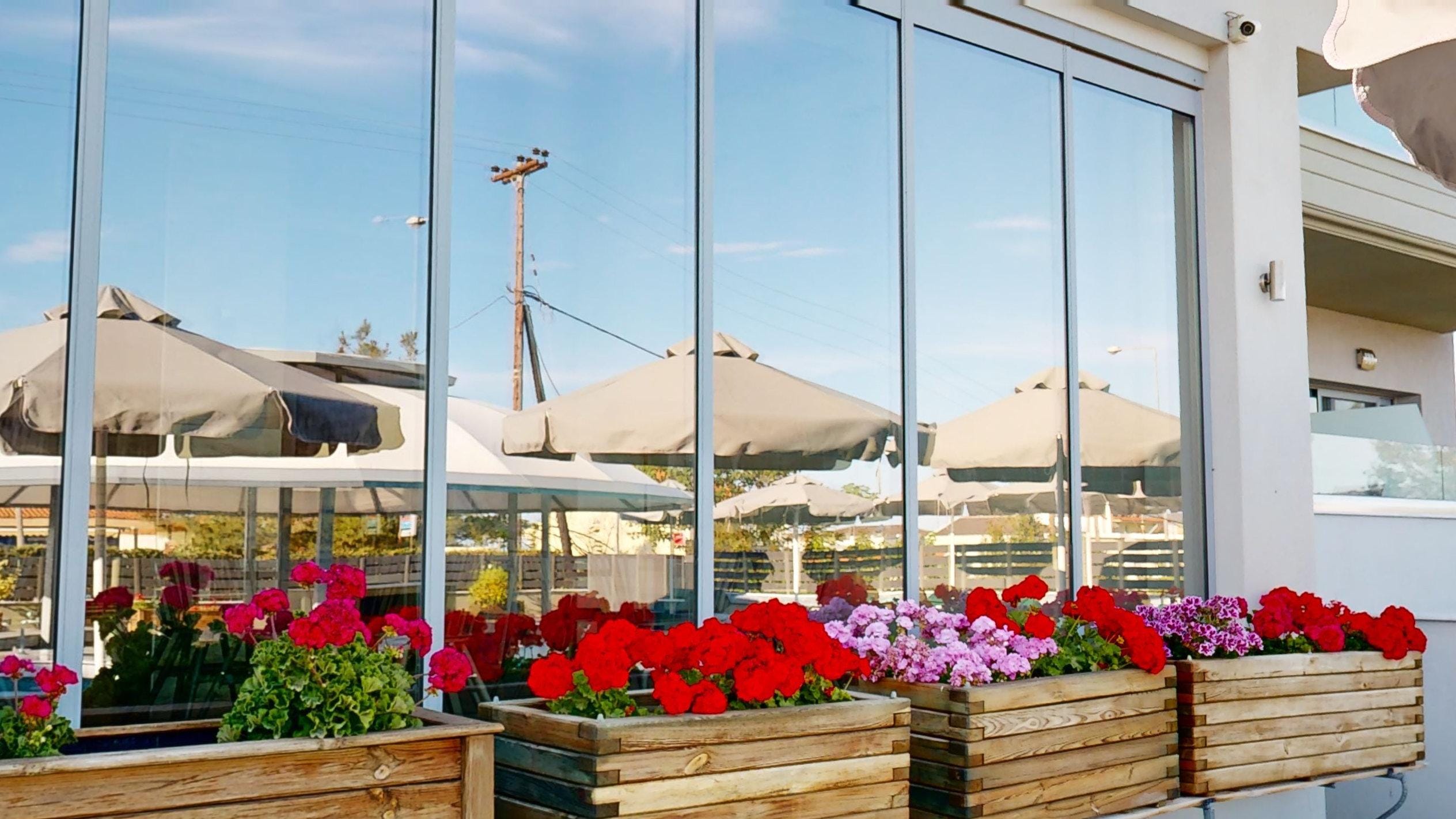 a group of flowers in a flower shop