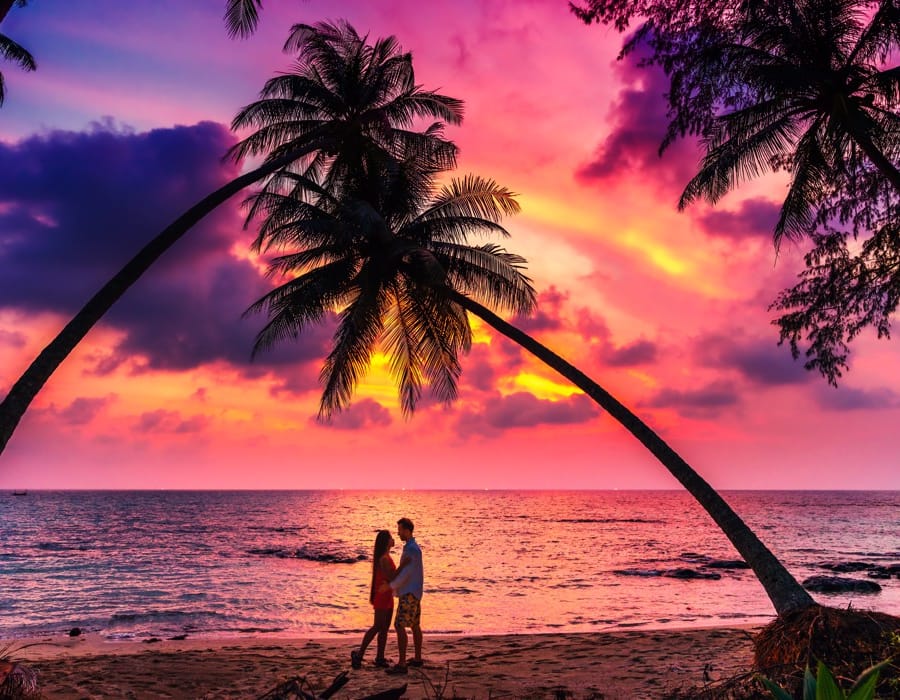 shutterstock_1382288729-2