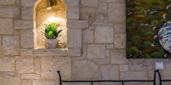 a couple of potted plants on a stone wall