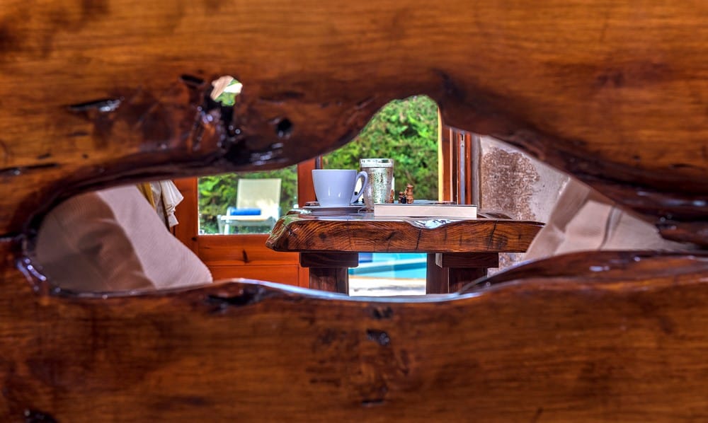 a table with a plant on it