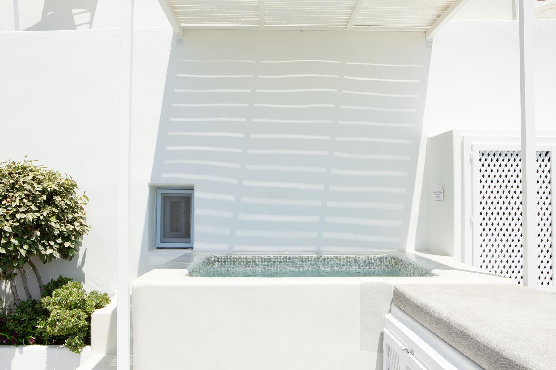 a white bathtub with a plant in the front