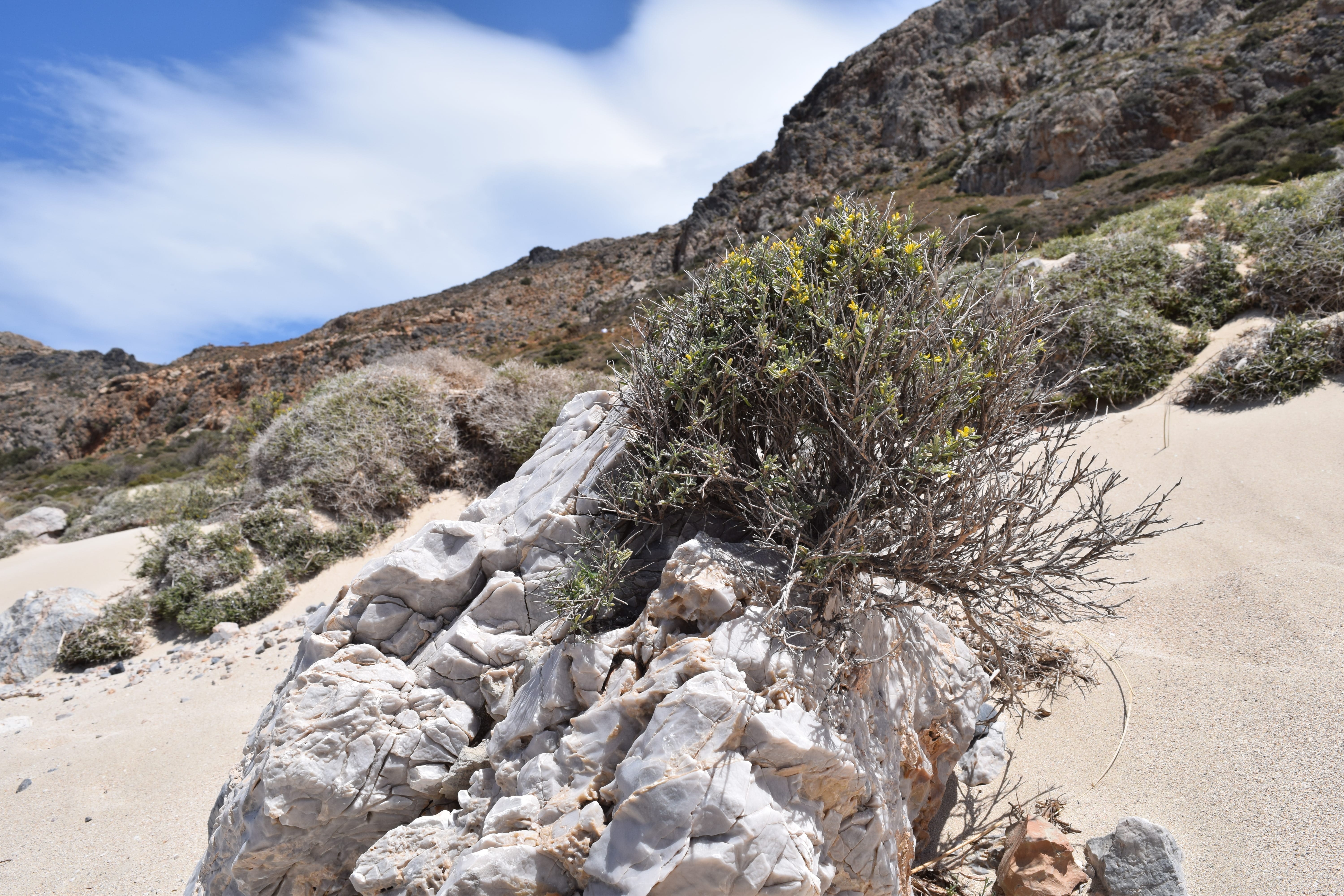 a rocky area with a river running through it