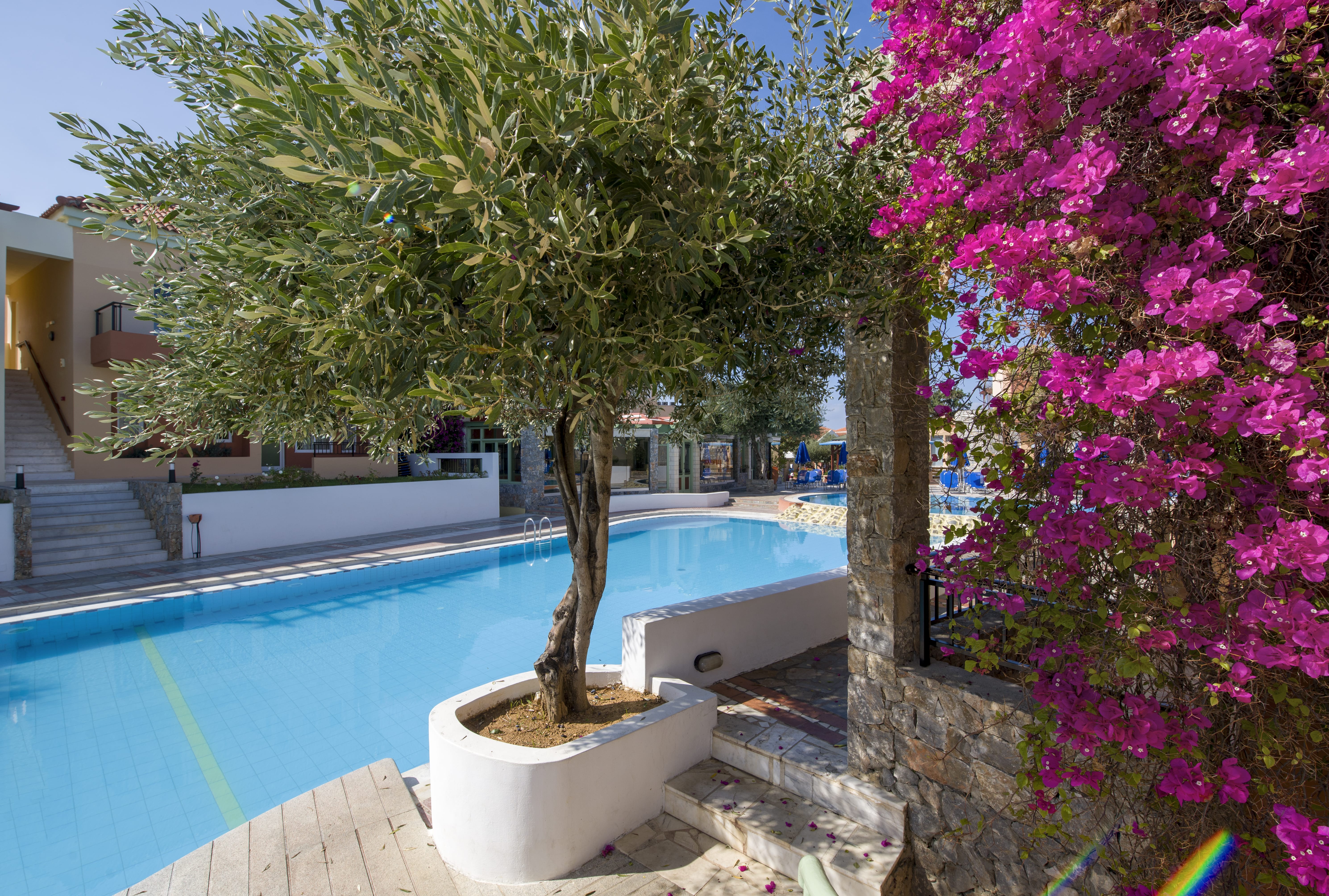 a tree next to a pool