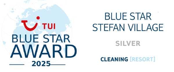 stefantuicleaningsilver
