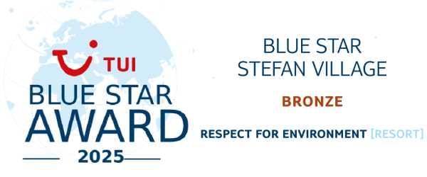 stefantuienvironmentbronze