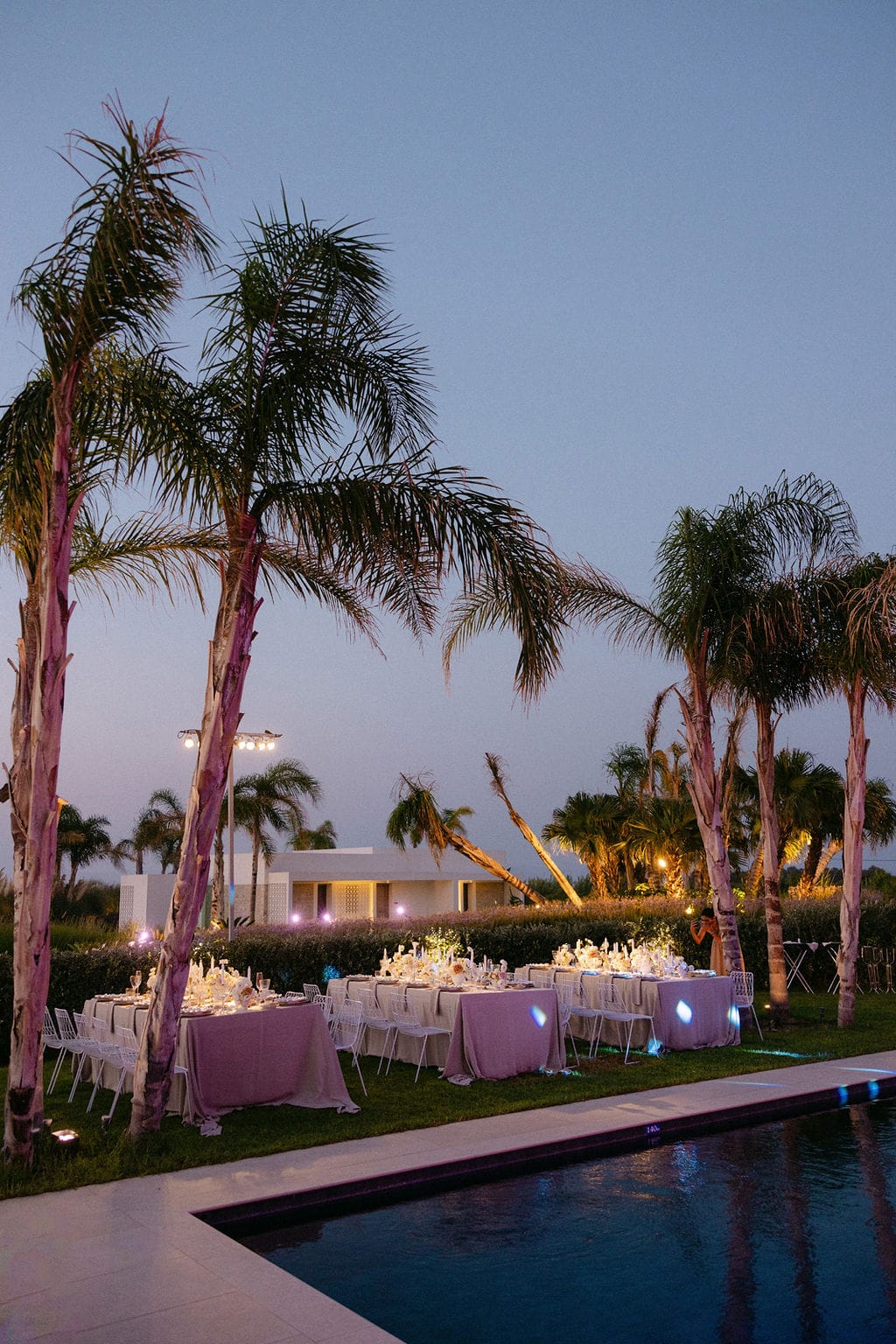 Dinner under the palms