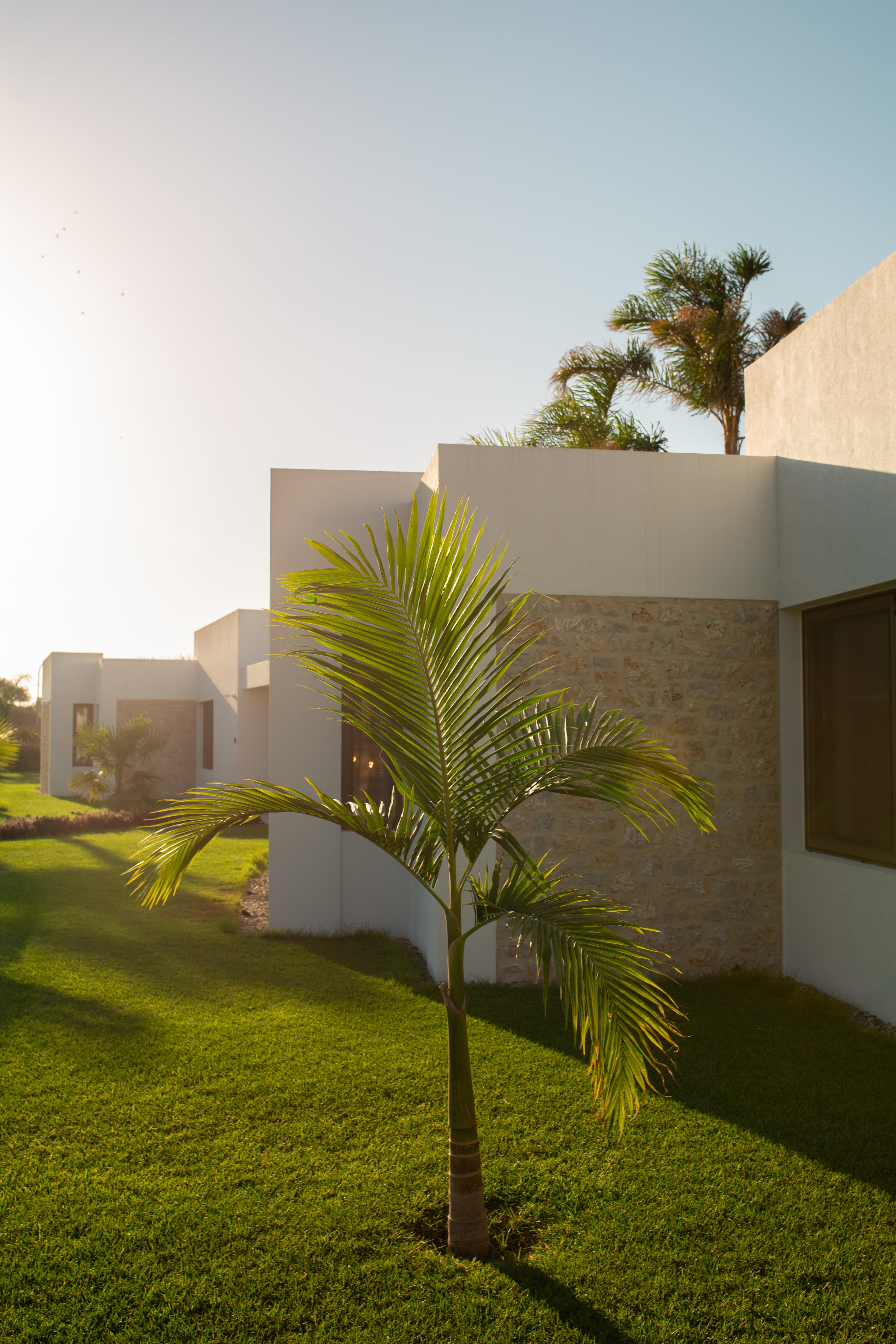 Taf Beach Villas in Kos island