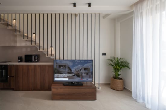 a room with a tv and a plant