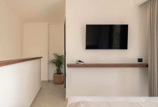 a room with a tv and a plant