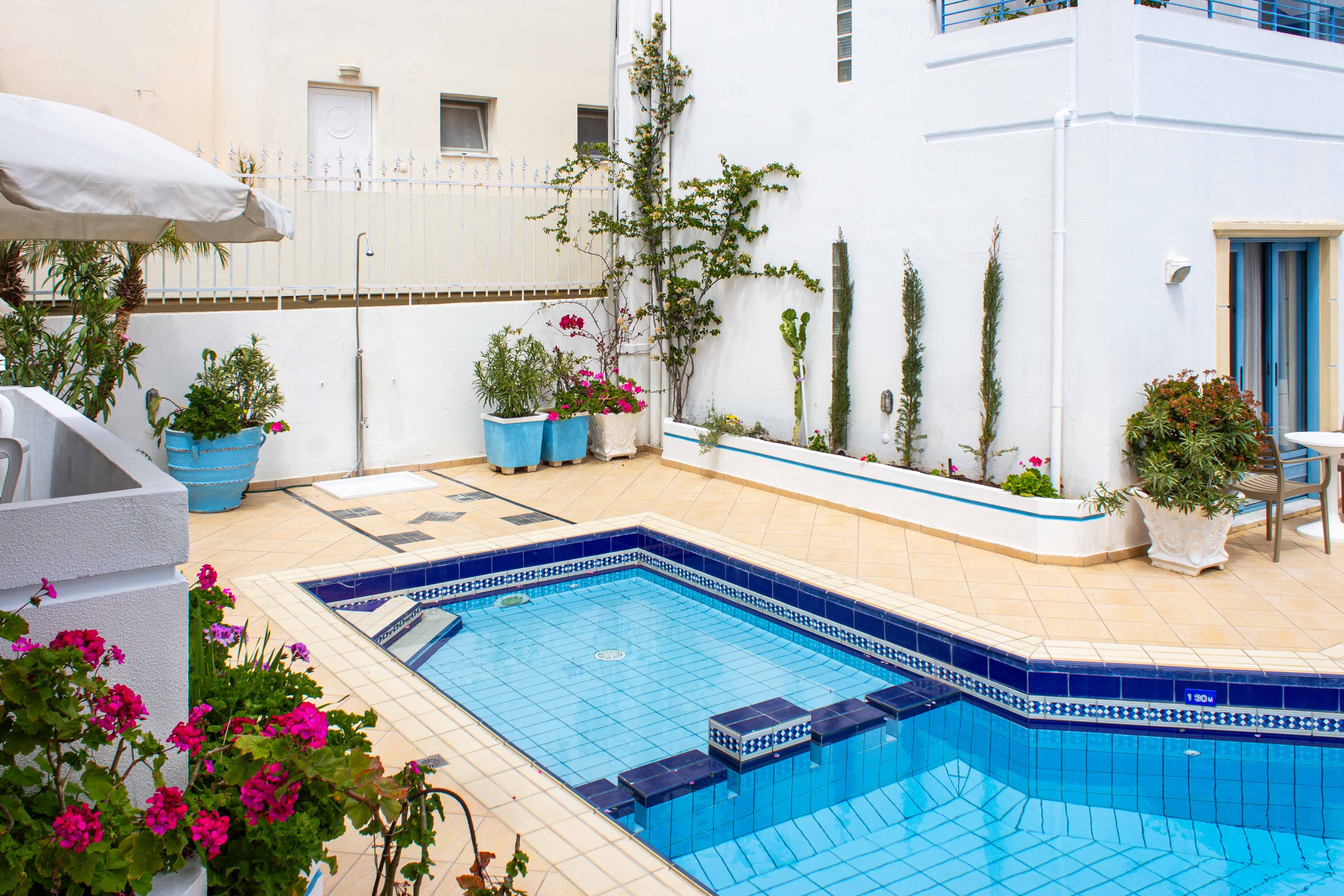 a pool with a few plants and a building in the background