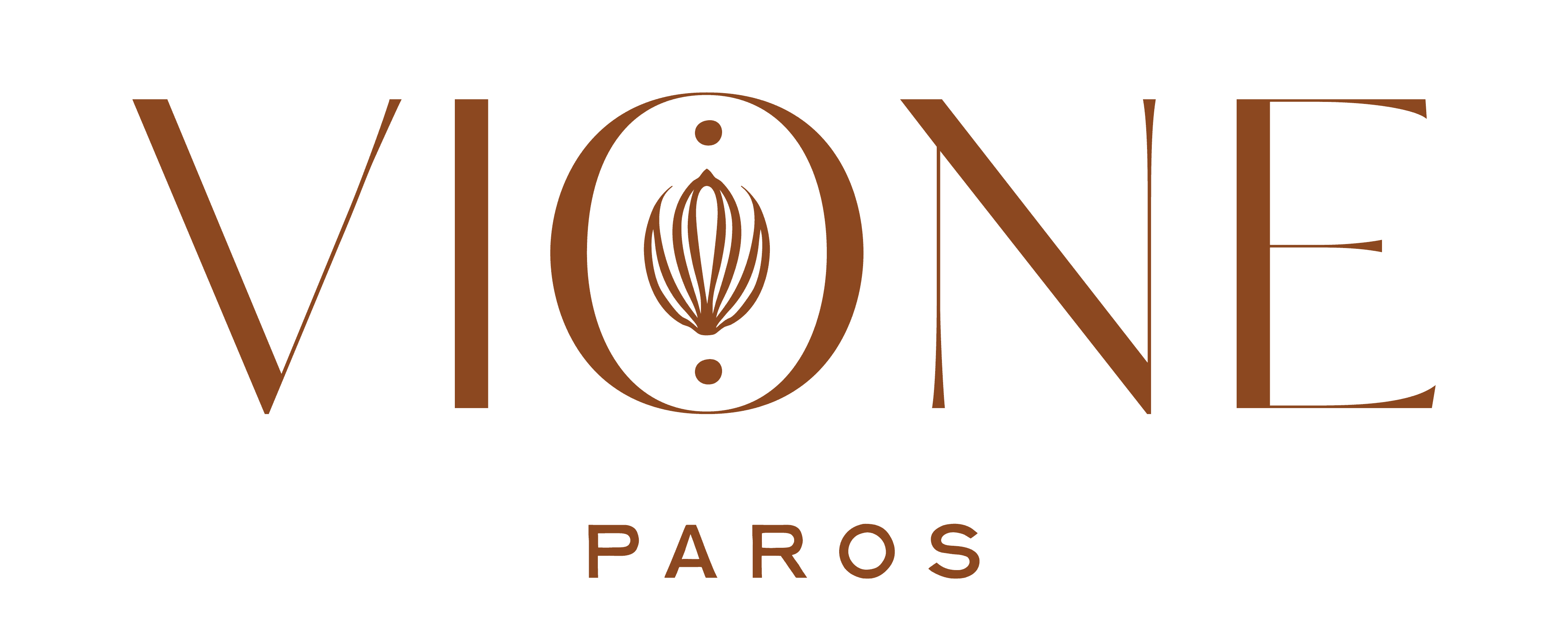 discover-vione-paros-homepage