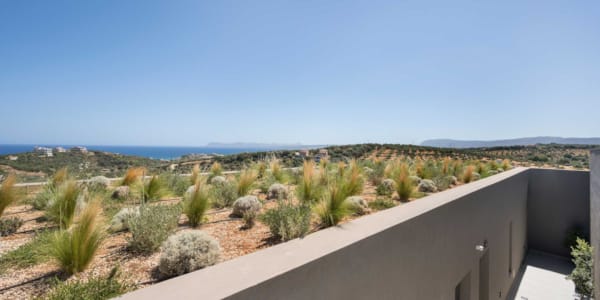 a building with bushes and trees