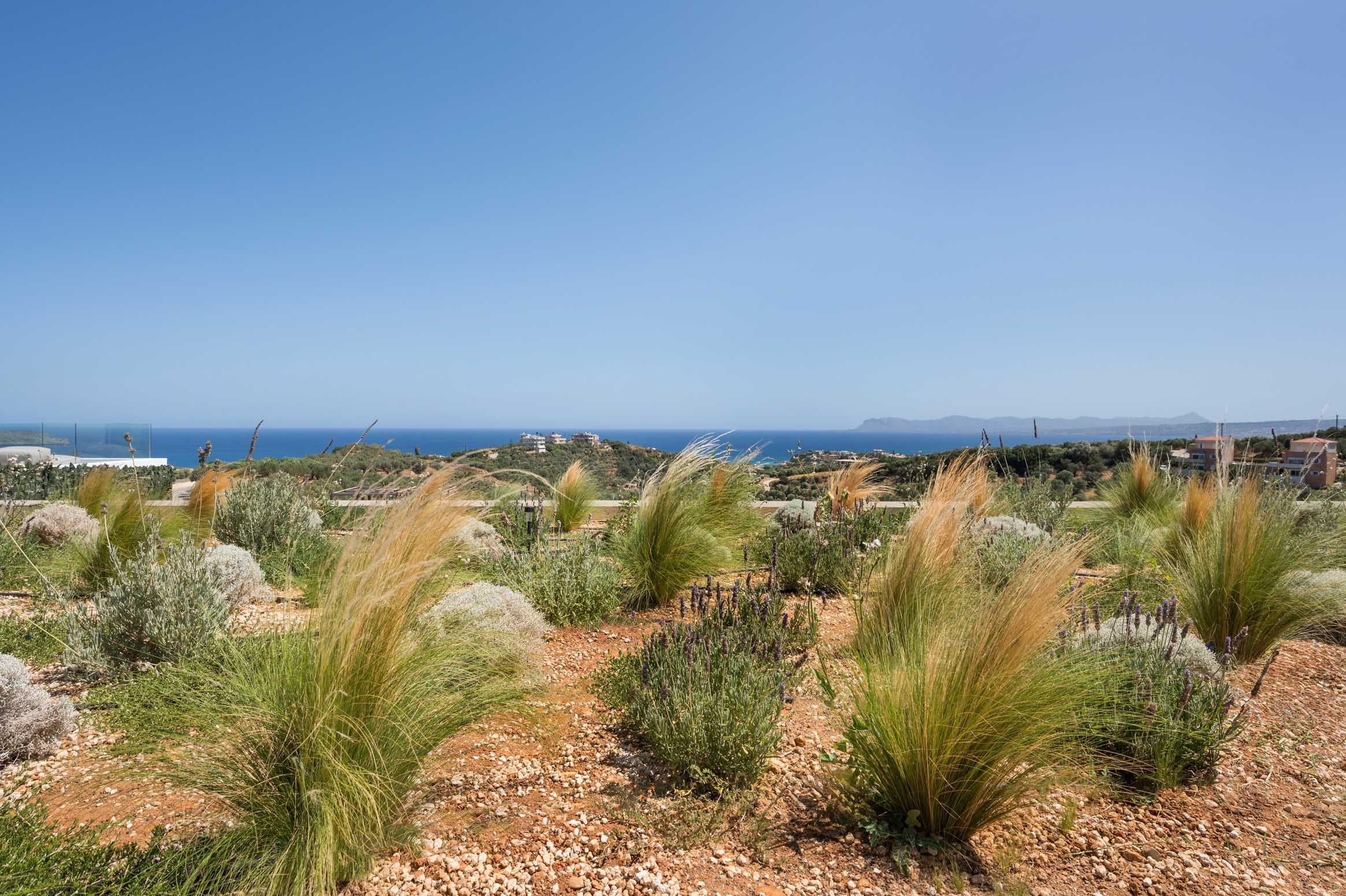 a desert landscape with bushes and a body of water in the background