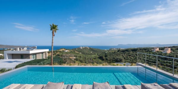 a pool with a view of the ocean and a palm tree