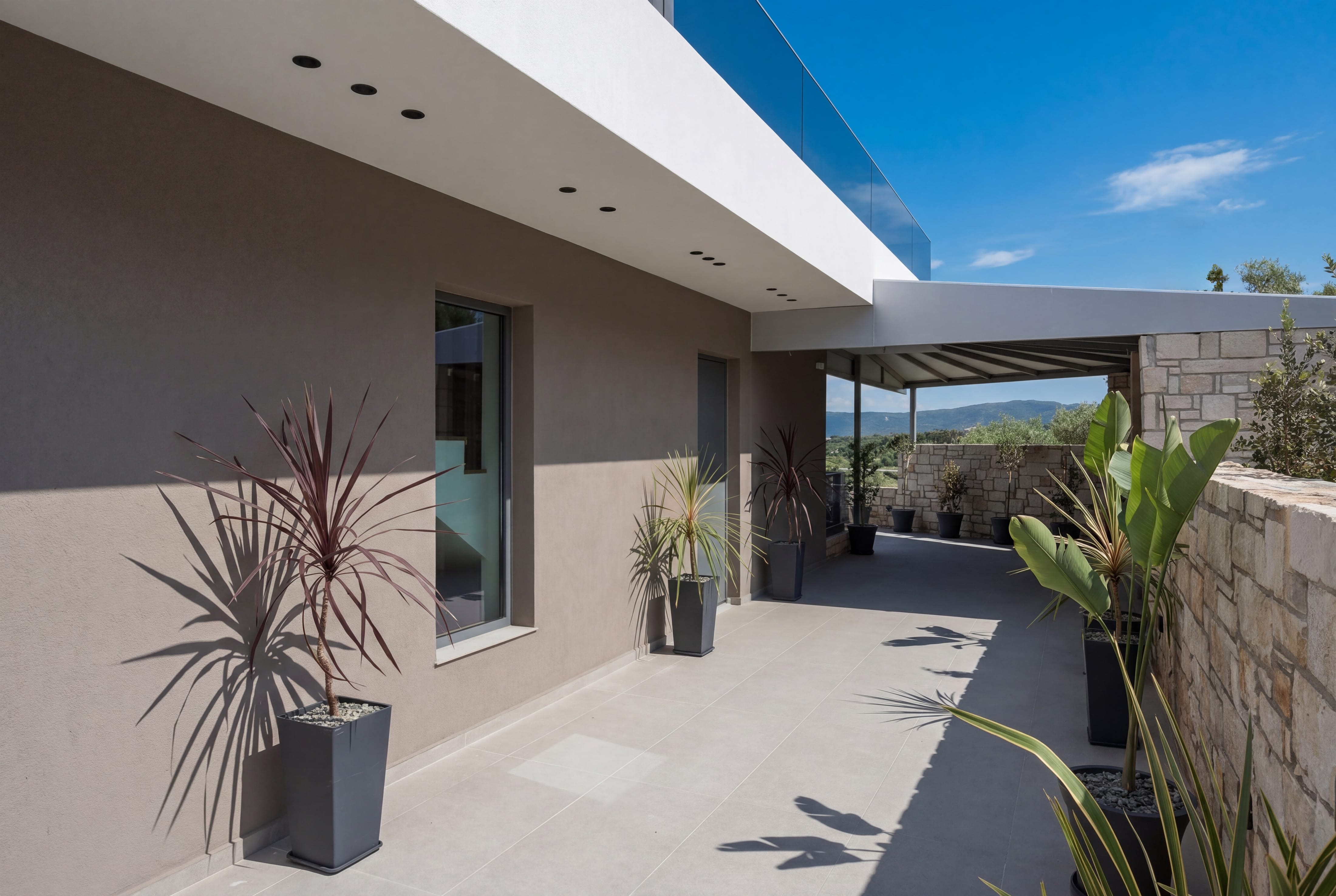 a house with plants on the patio