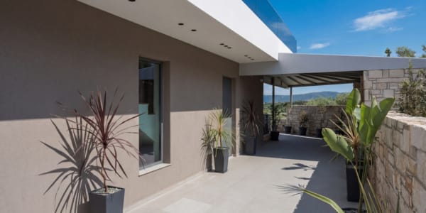 a house with plants on the patio