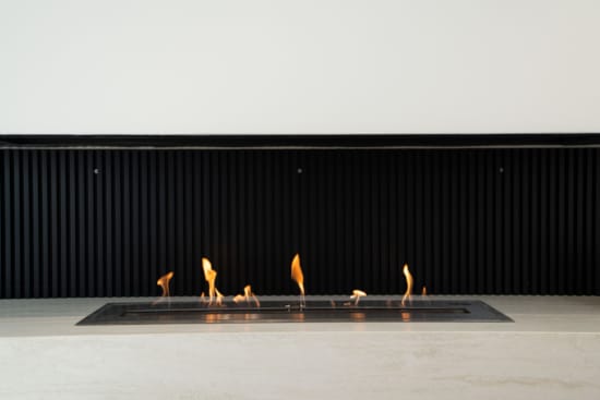 a group of birds on a ledge