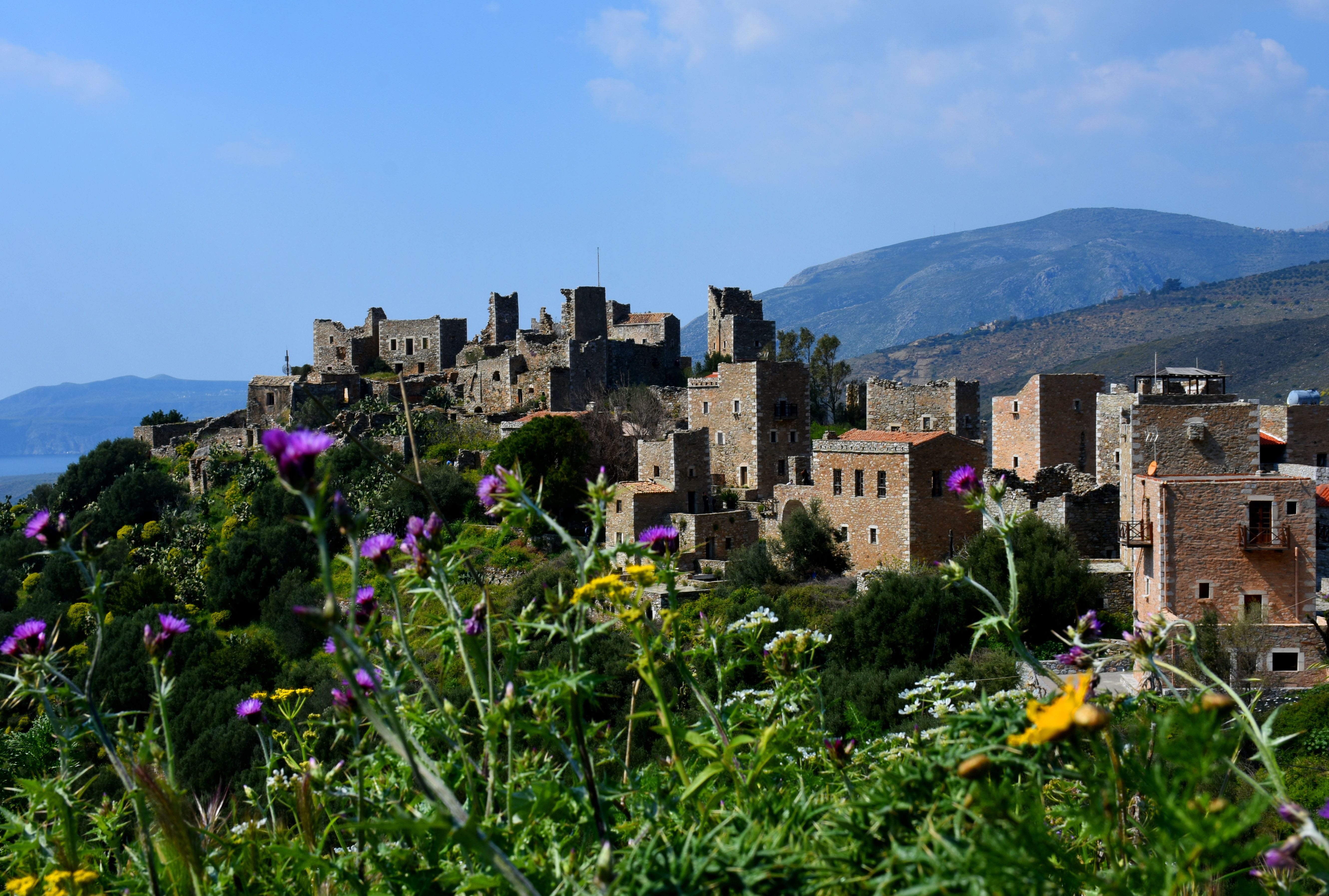 a hillside with buildings and flowers