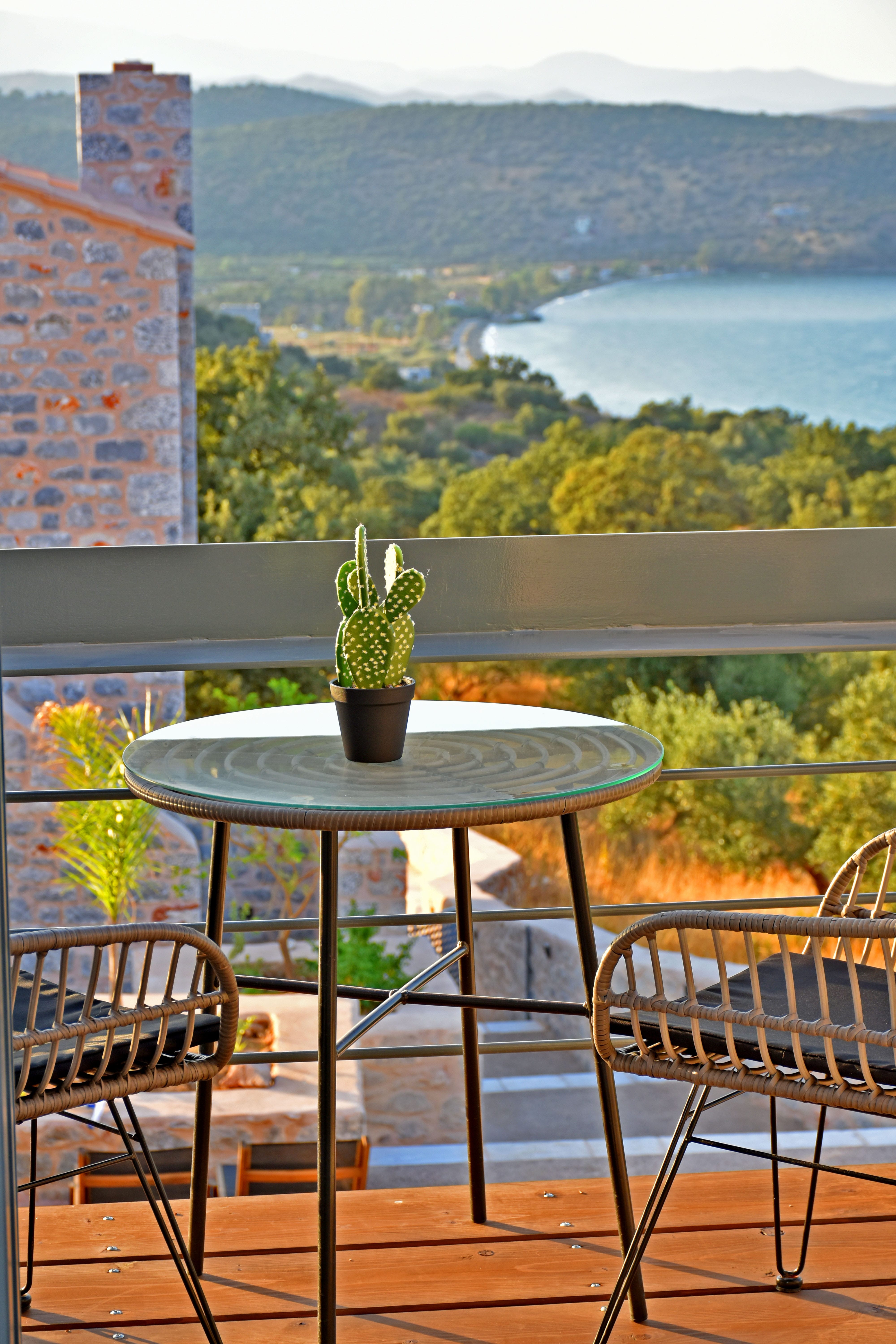 a table with a plant on it