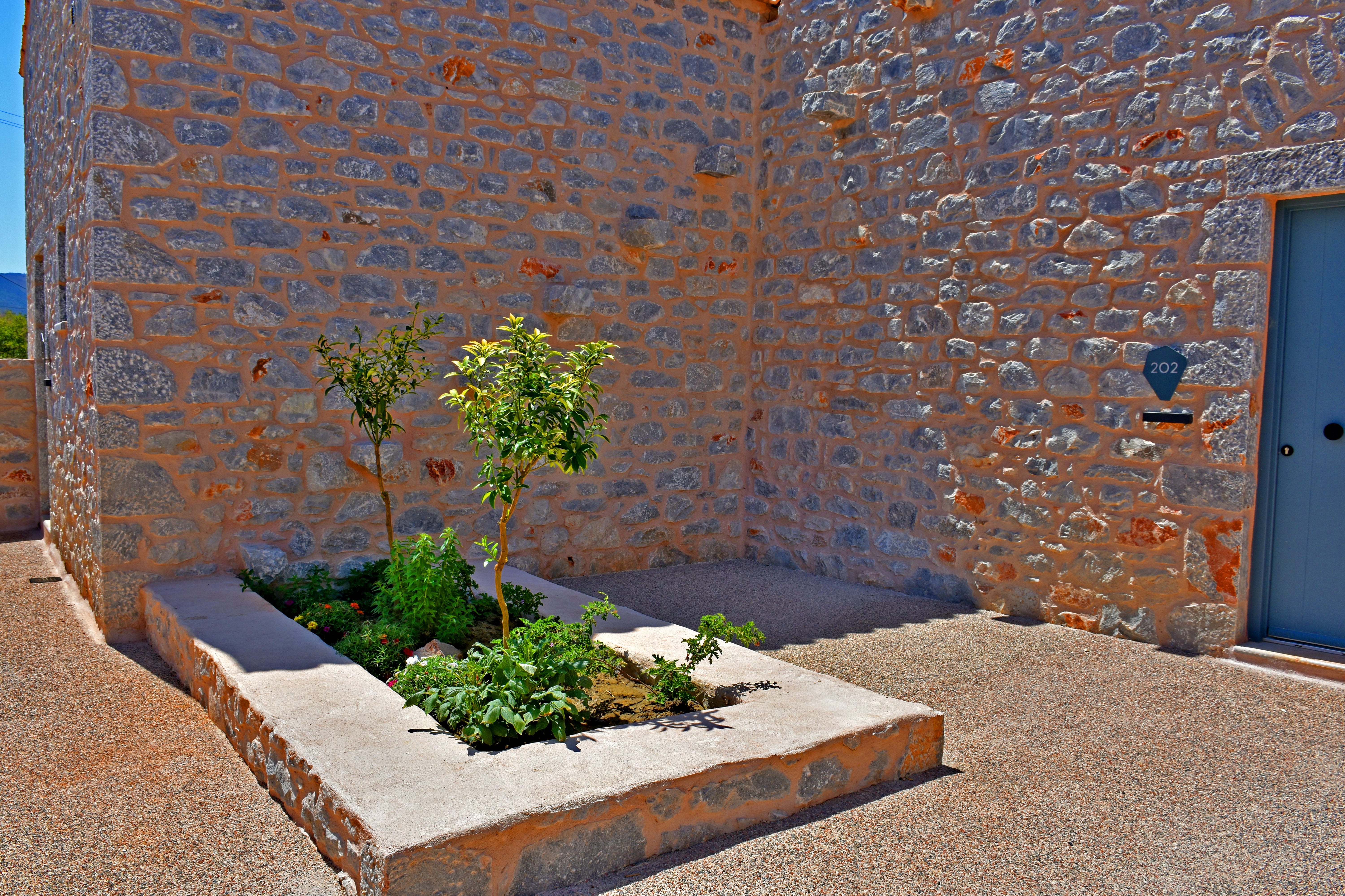 a small garden in a garden