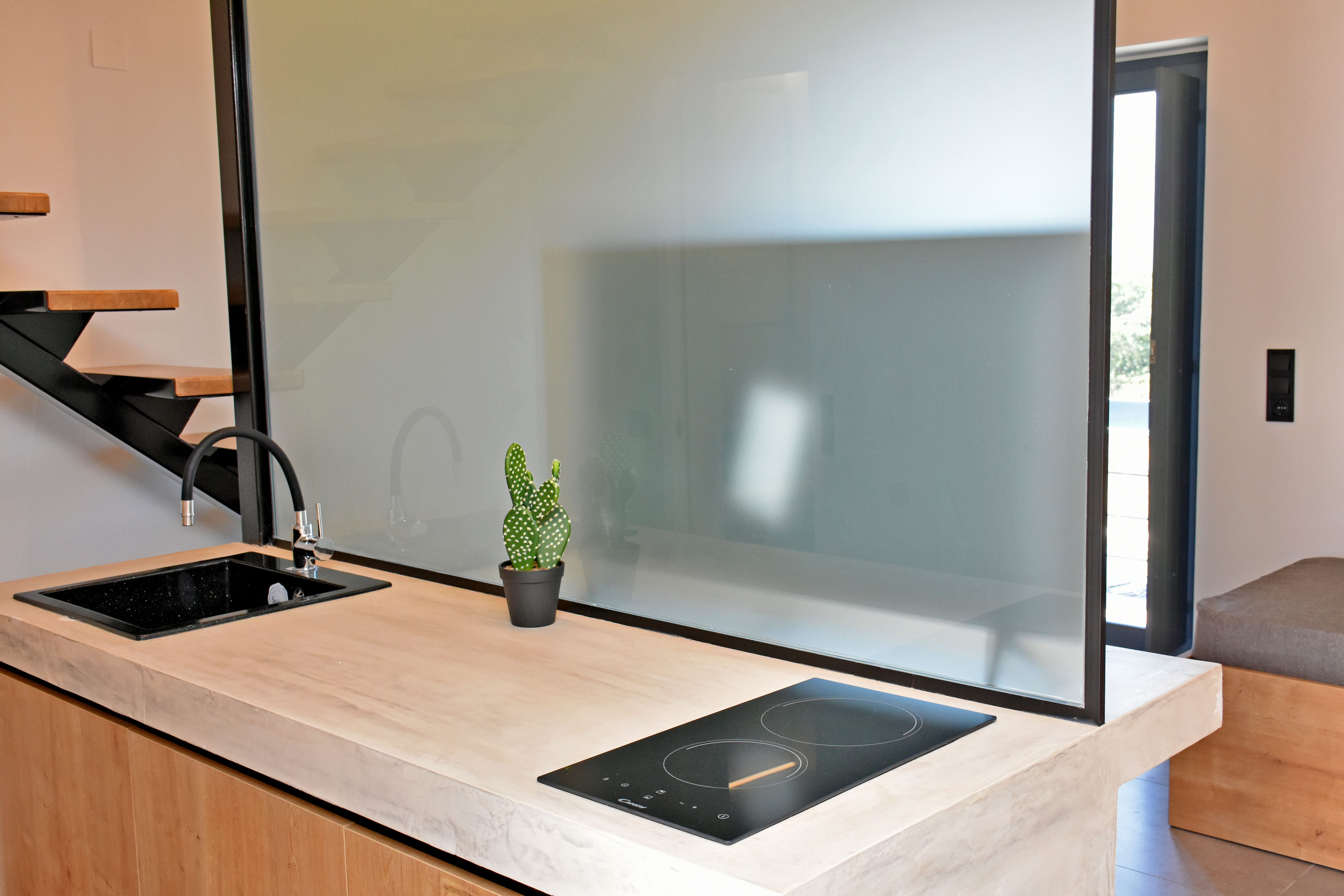a plant on a counter