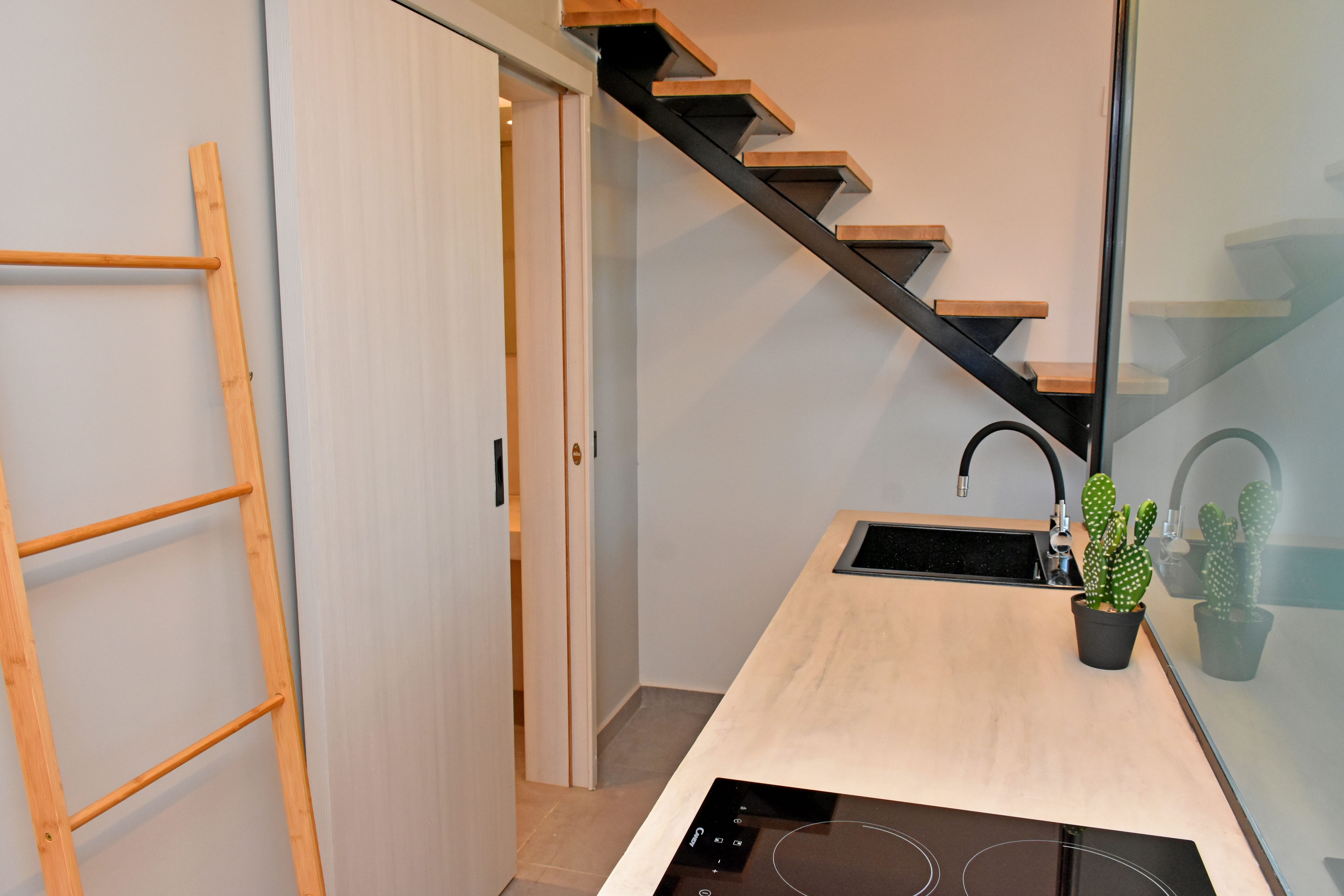a kitchen with a sink and a plant on the counter