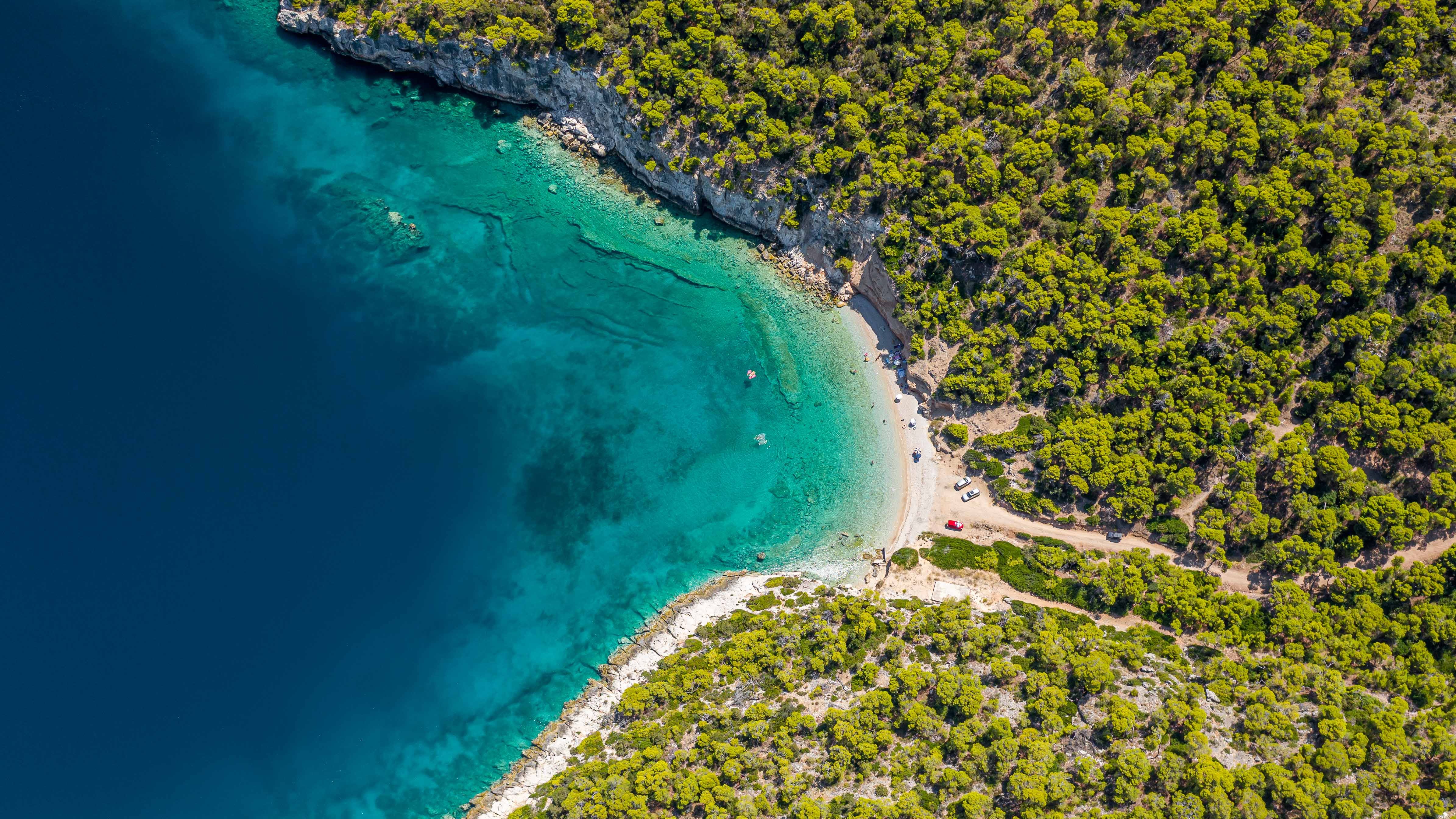 a beach with trees and grass
