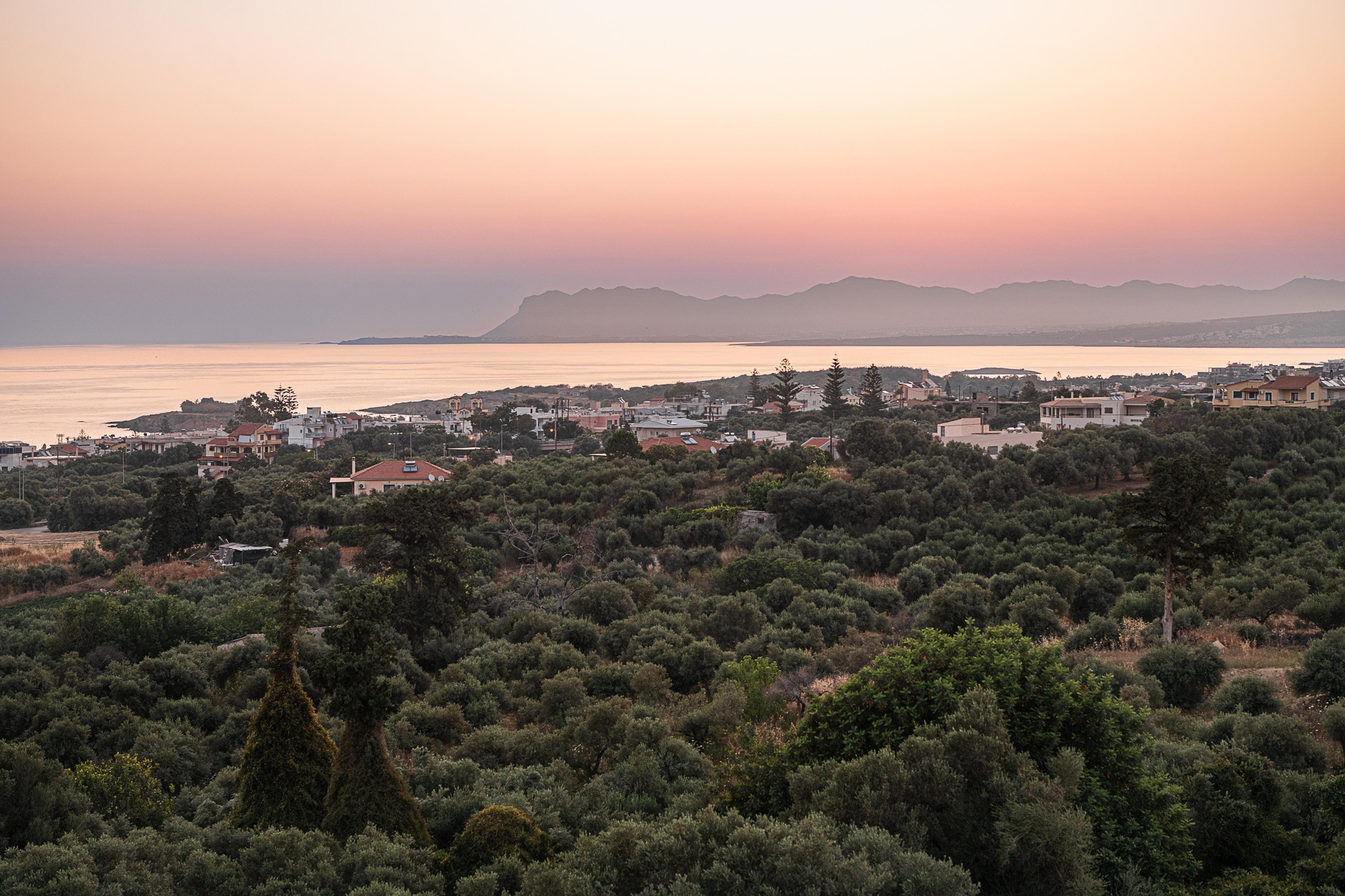 a landscape with trees and water in the background