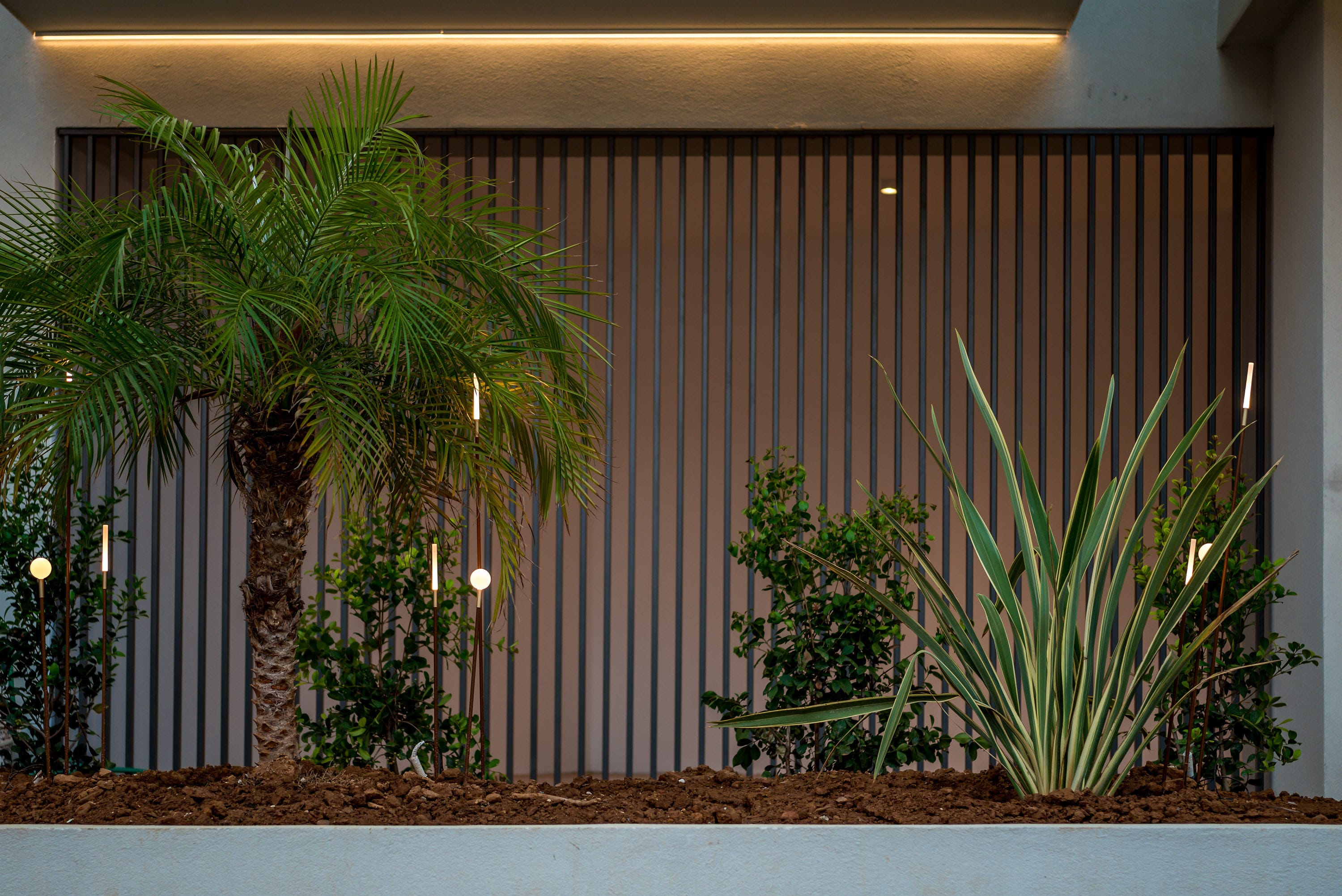 a wall with plants and a light