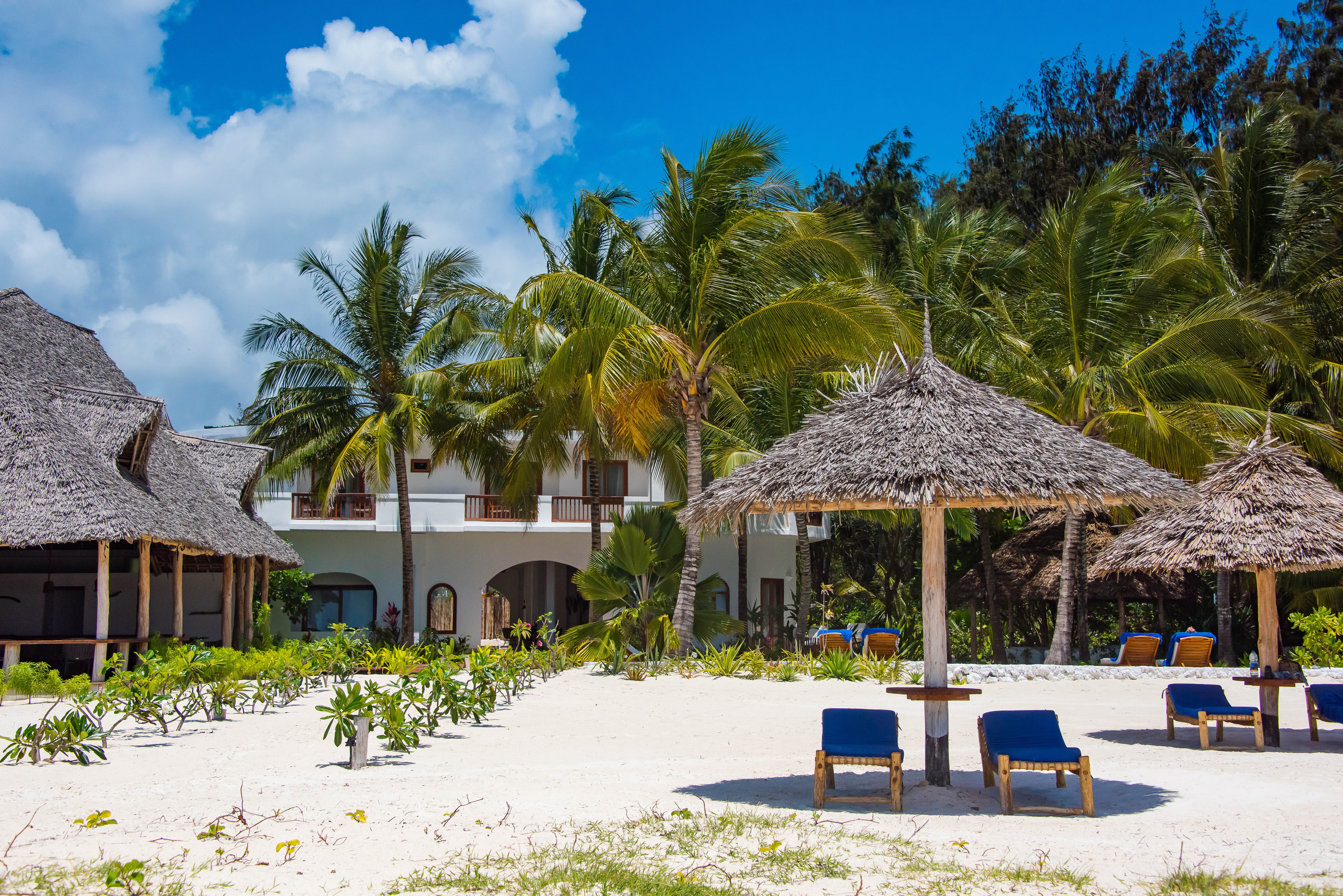 a beach with umbrellas and chairs