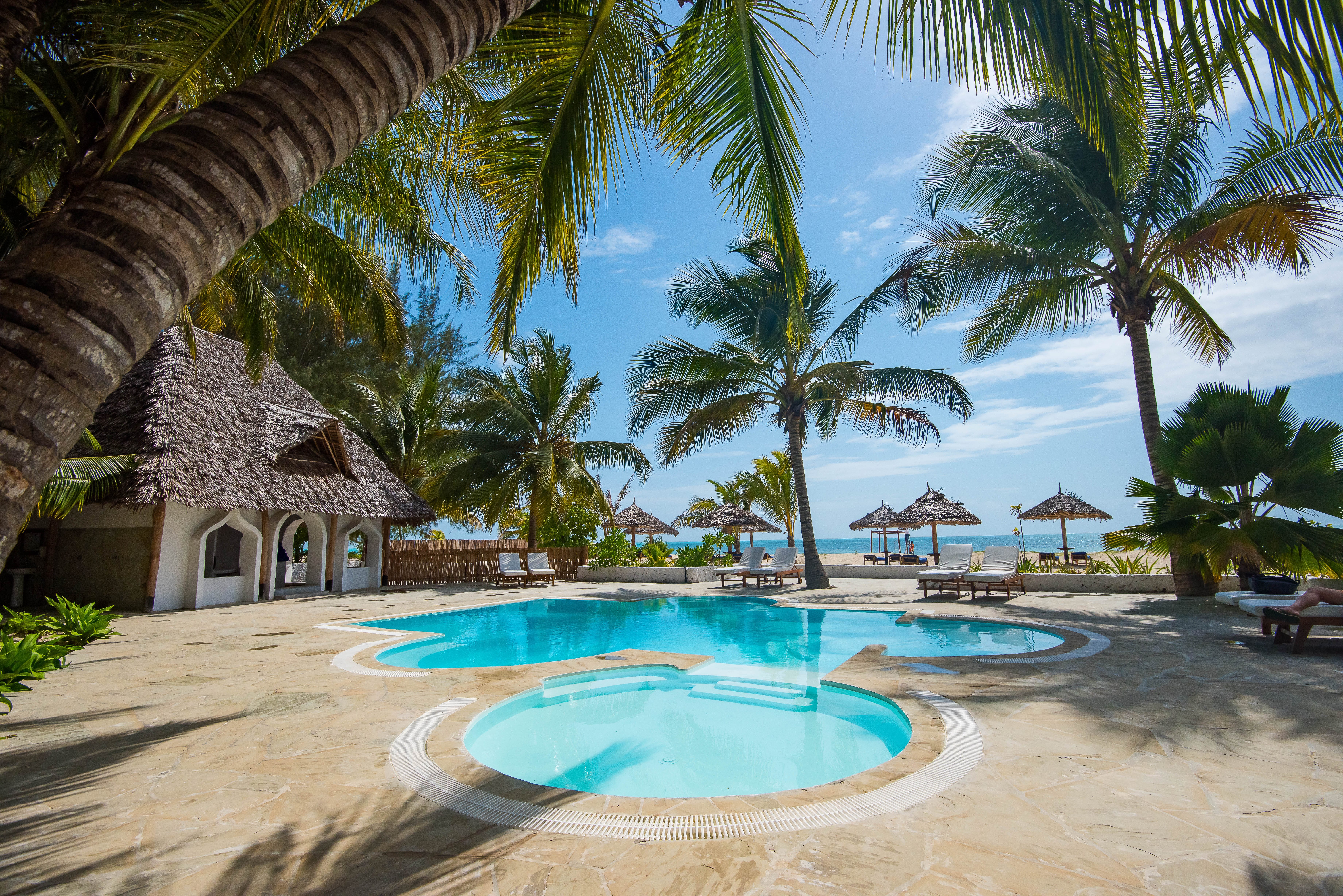 a pool with palm trees around it