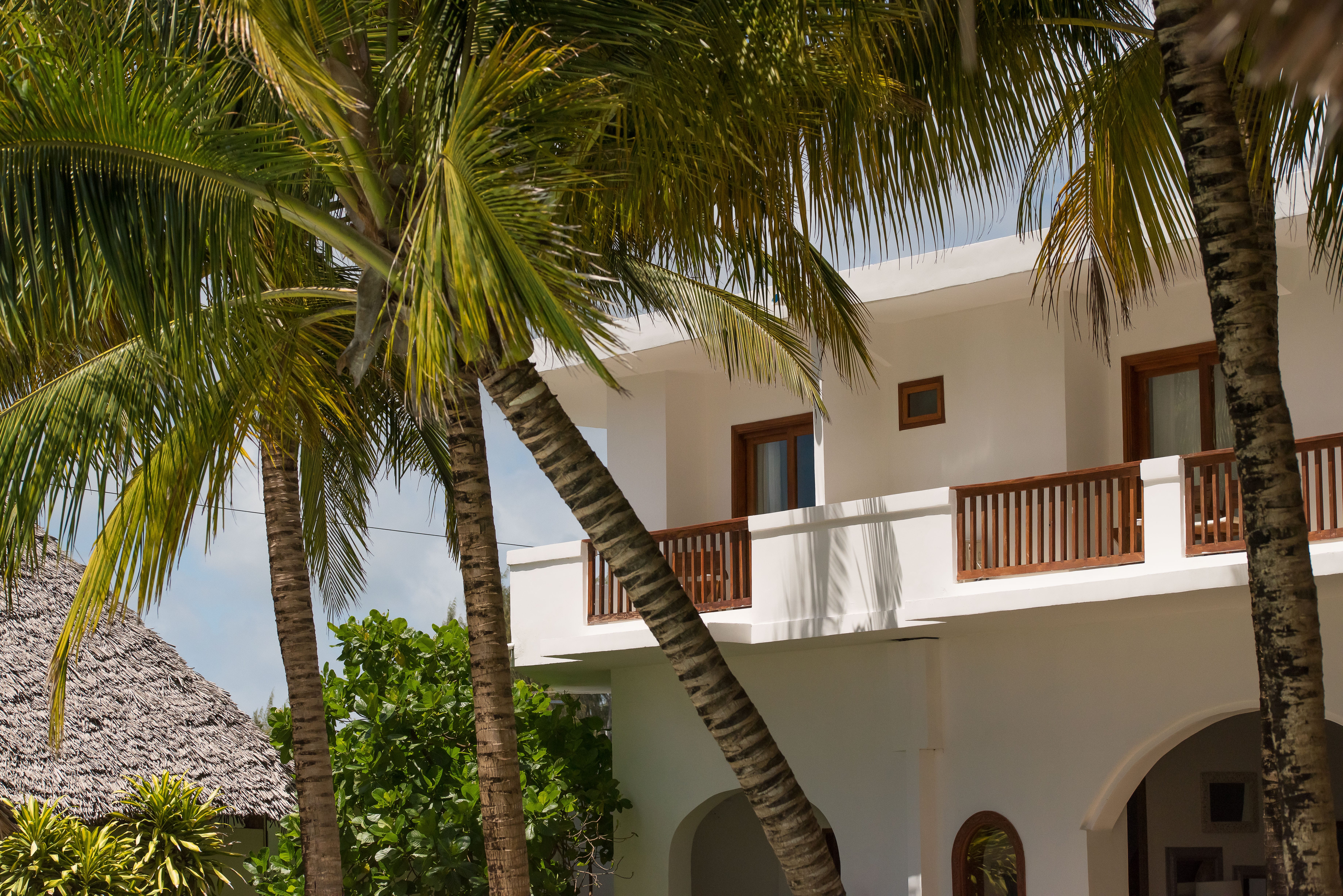 a building with palm trees