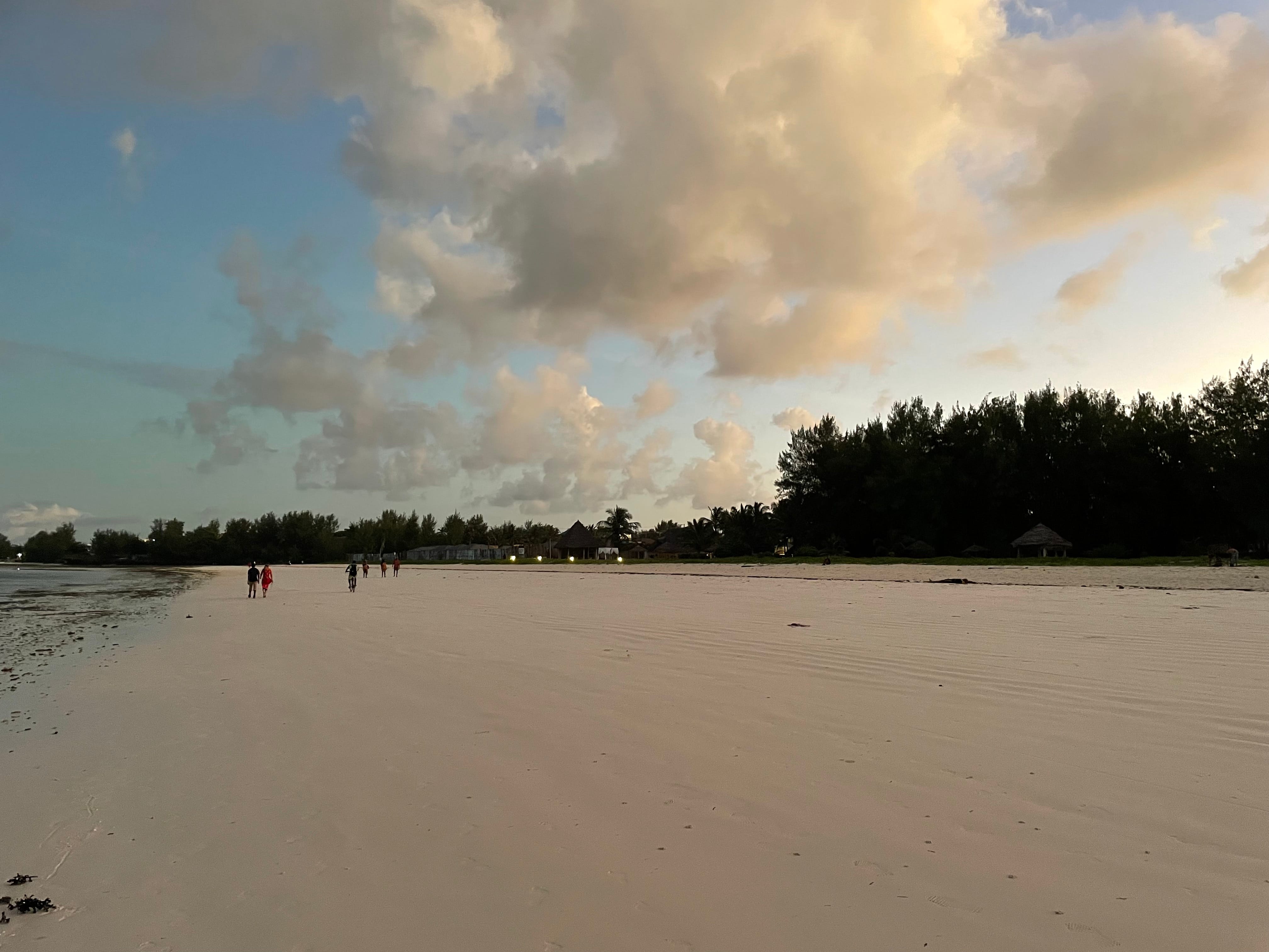 a beach with trees and a cloudy sky