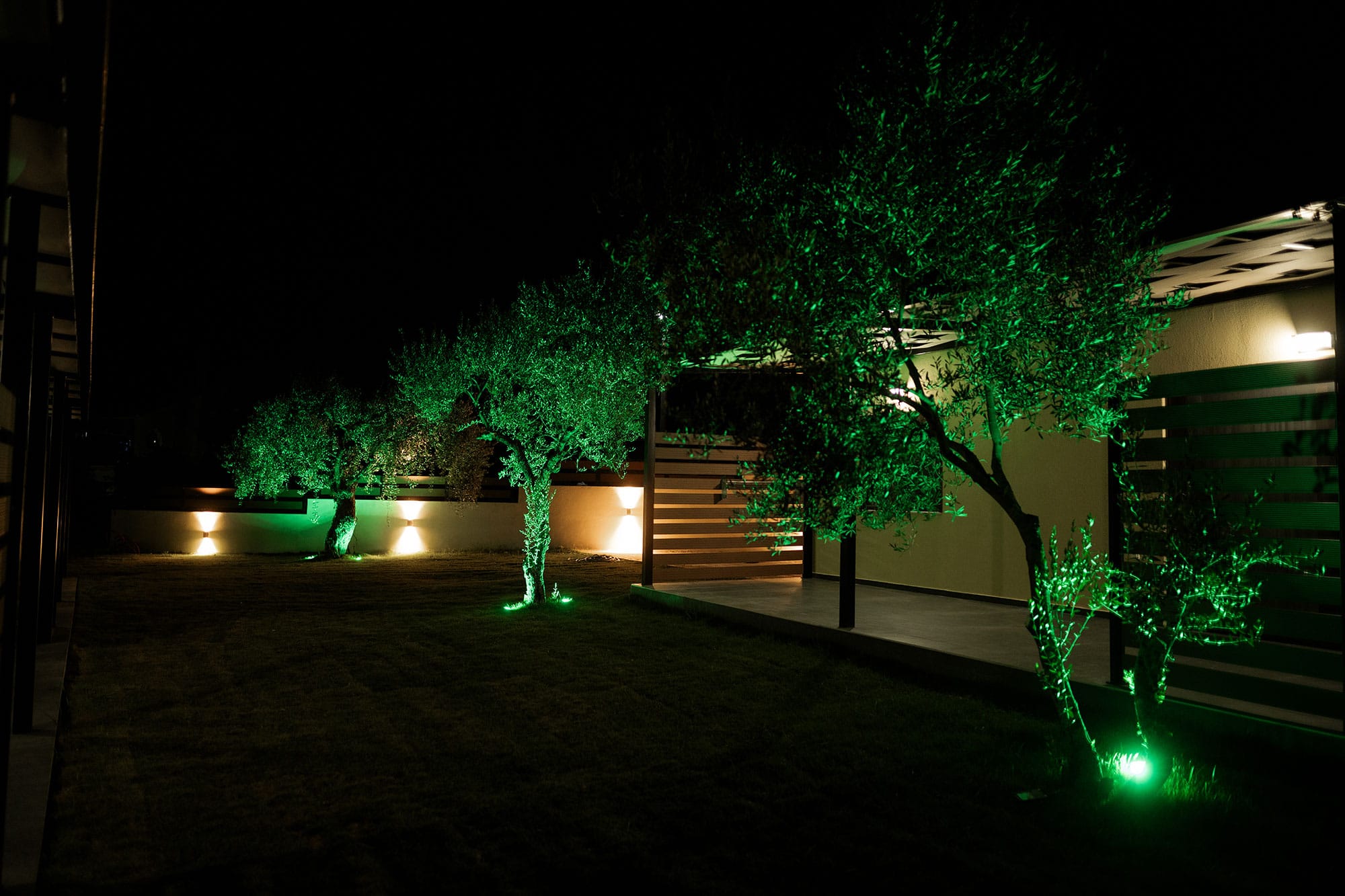 a row of trees at night
