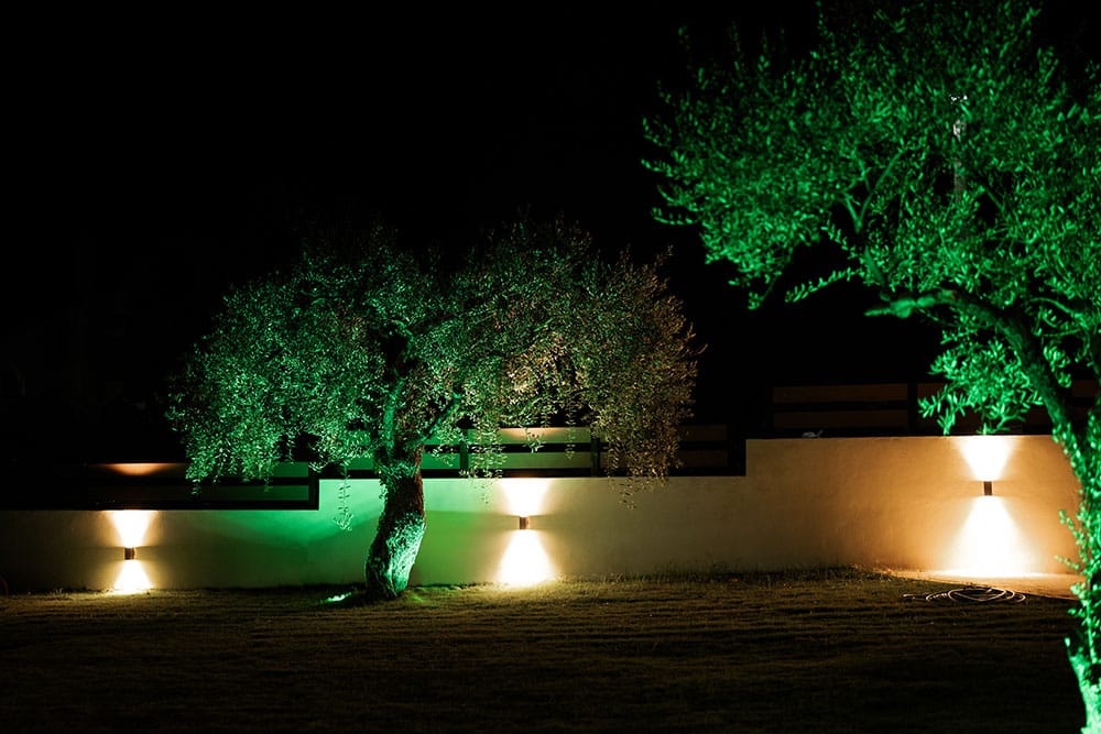 a wall with trees and lights at night