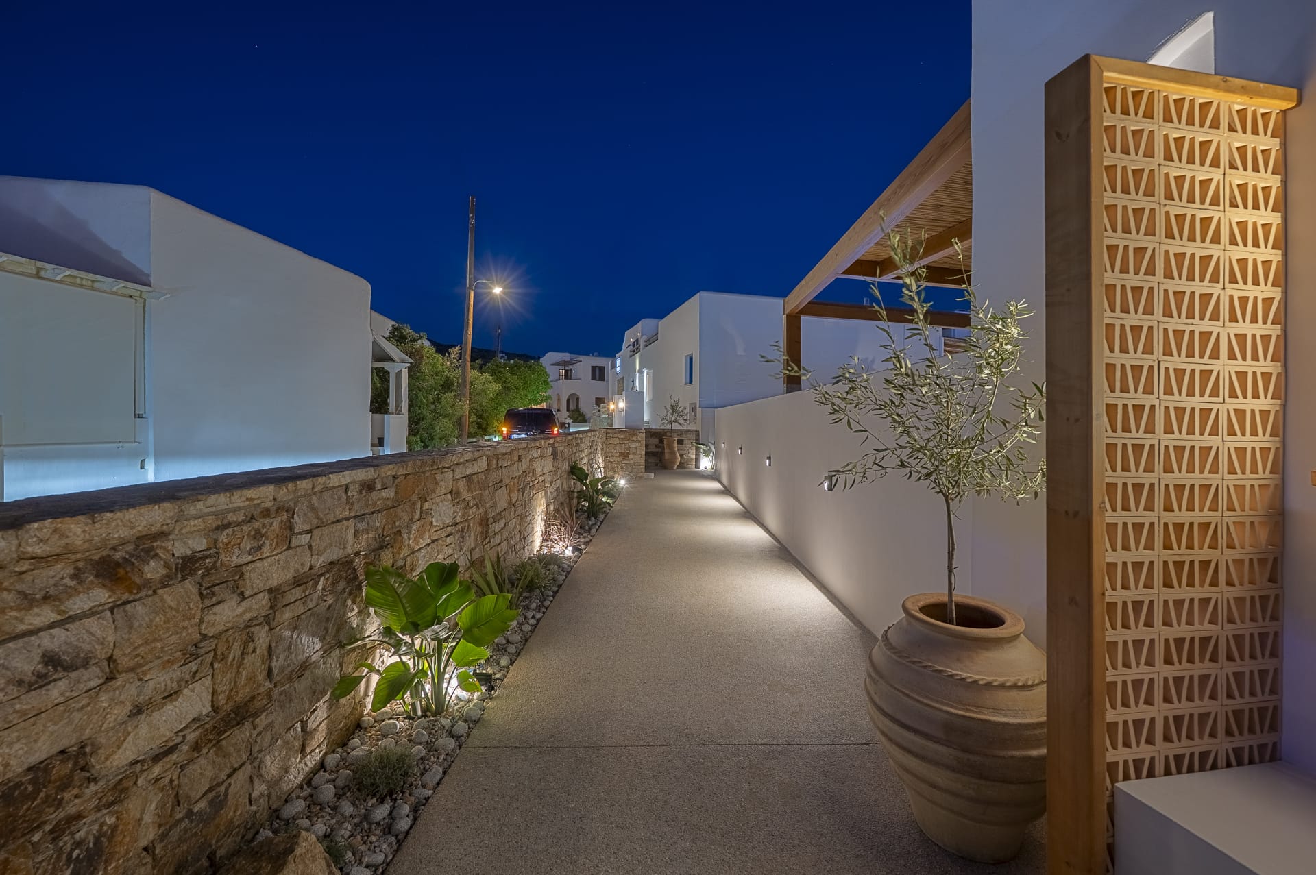 a courtyard with a few plants