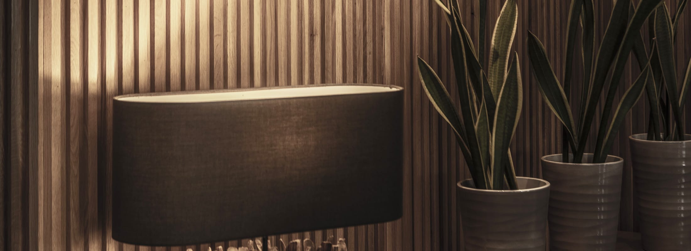 a group of potted plants