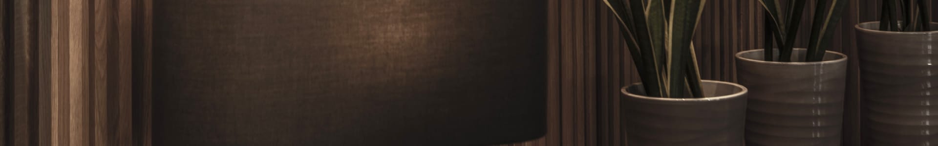 a group of potted plants