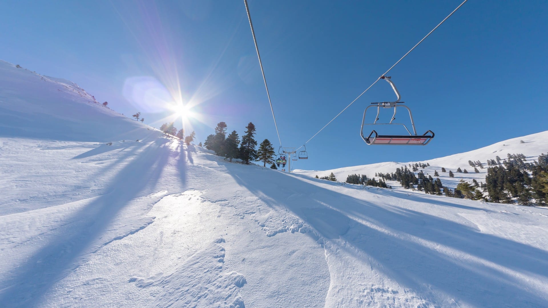 shutterstock_1285133356