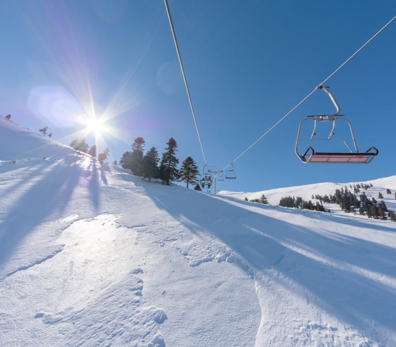 shutterstock_1285133356