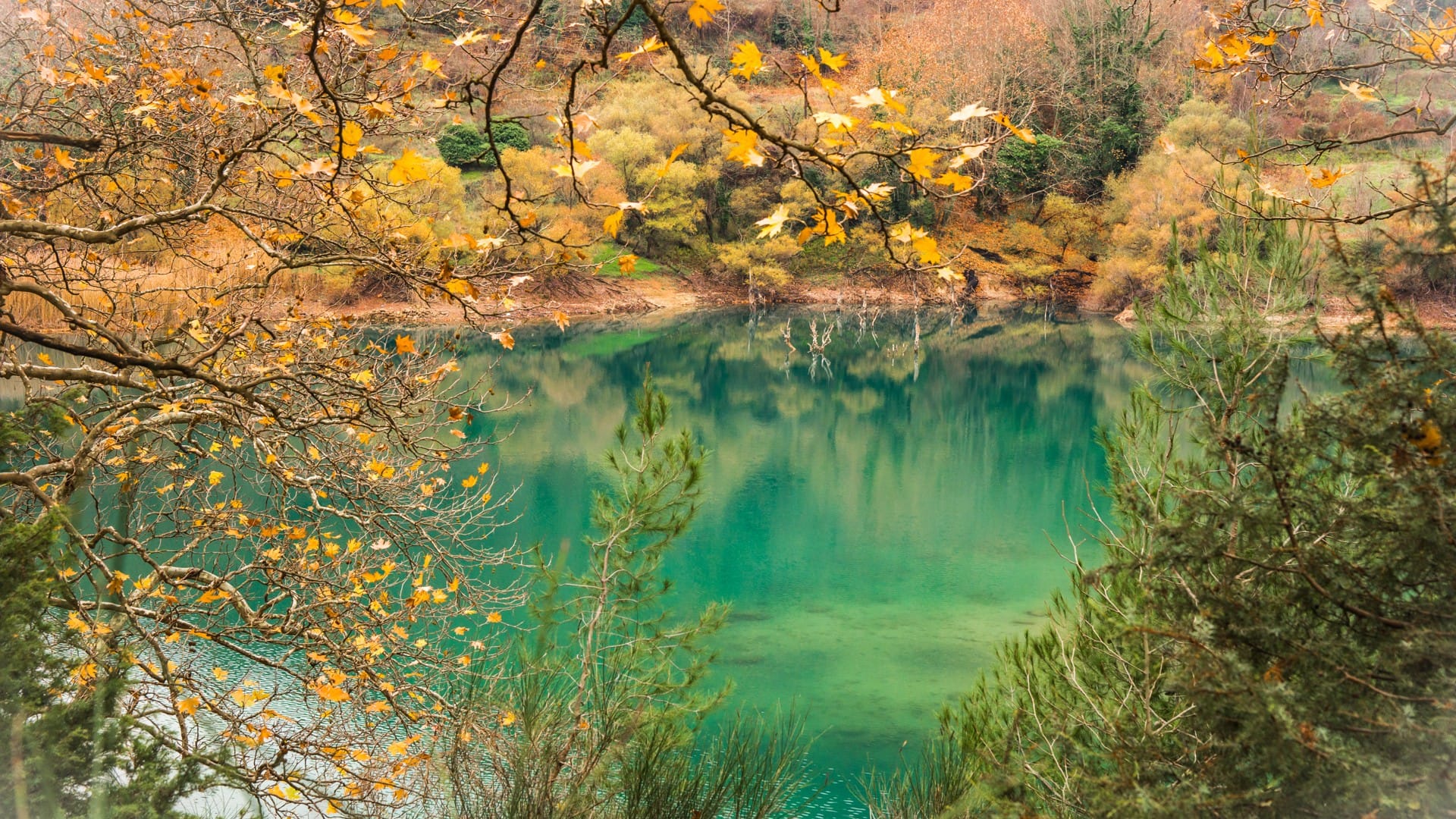 shutterstock_529669666