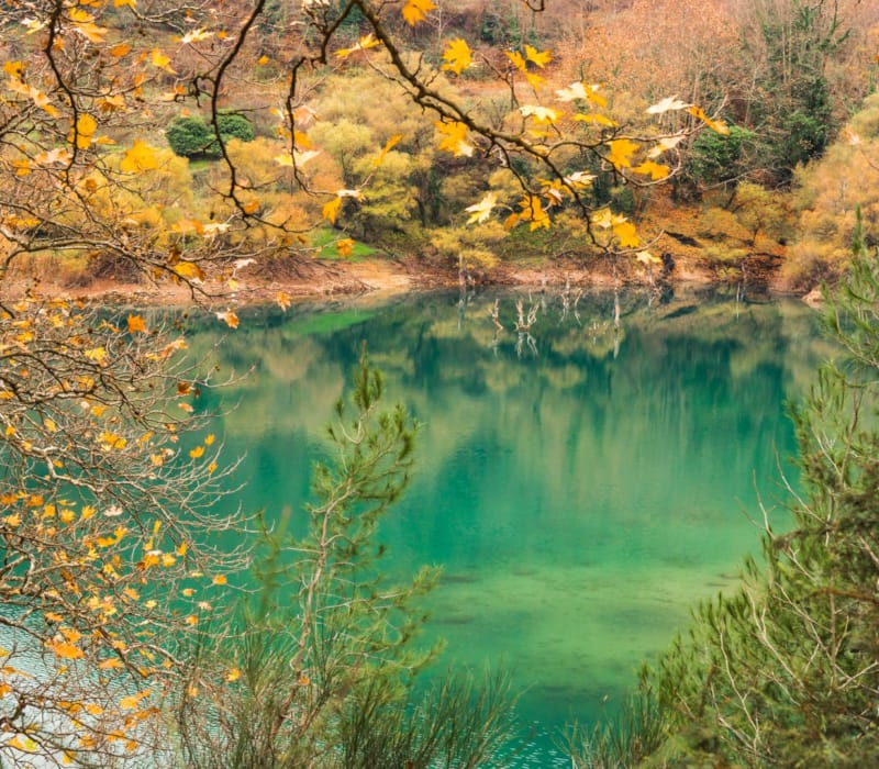 shutterstock_529669666